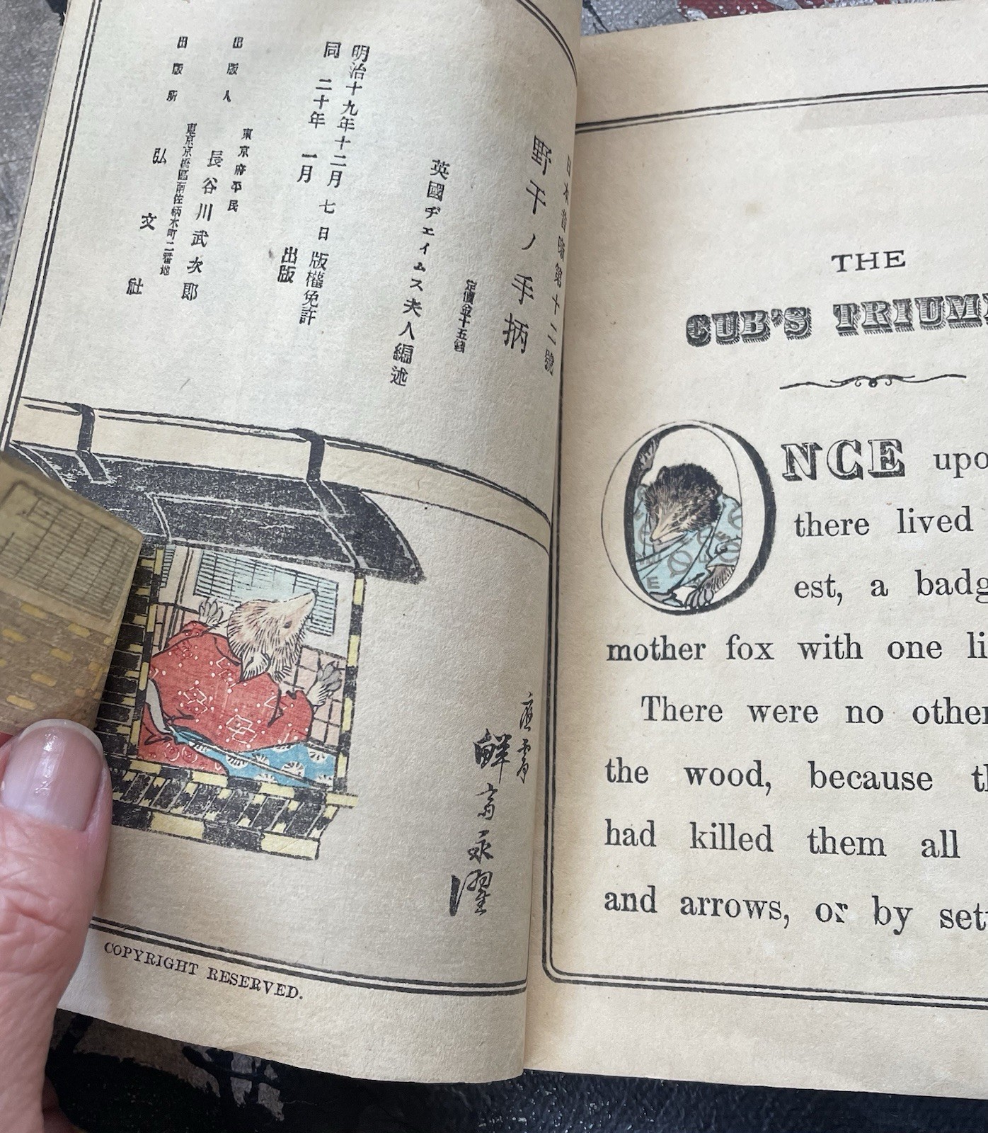 The Cub’s Triumph Japanese Fairy Tale Series No.12 Kobunsha As Is