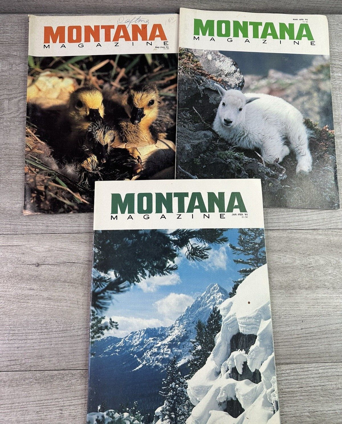 Vtg 1981 Lot Of 6 Montana Magazines Bimonthly & Monthly issues