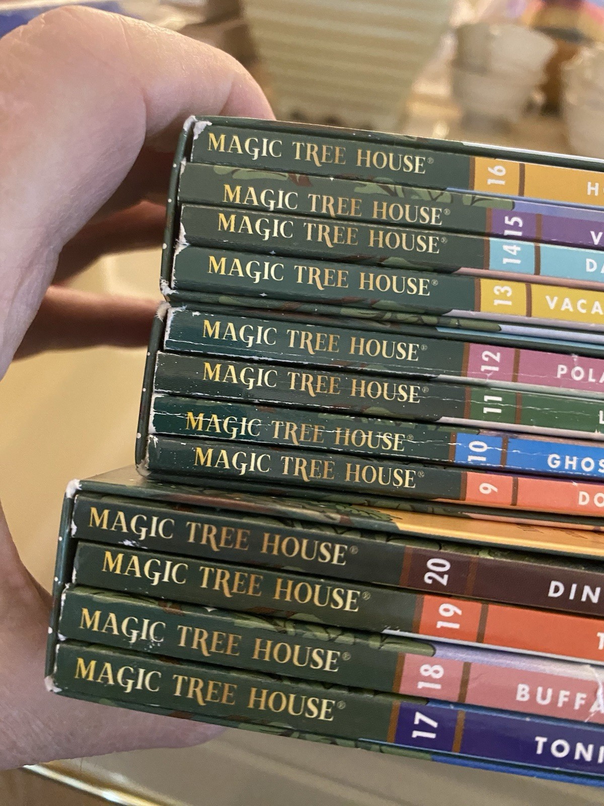 Magic Tree House 12 BOOKS IN SLIP BOX Vol. 9-20 Mary Pope Osborne