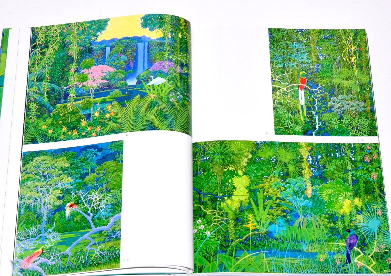 Art works Book of Emerald forest by Hiroo Isono EMERALD FOREST Art Illustration