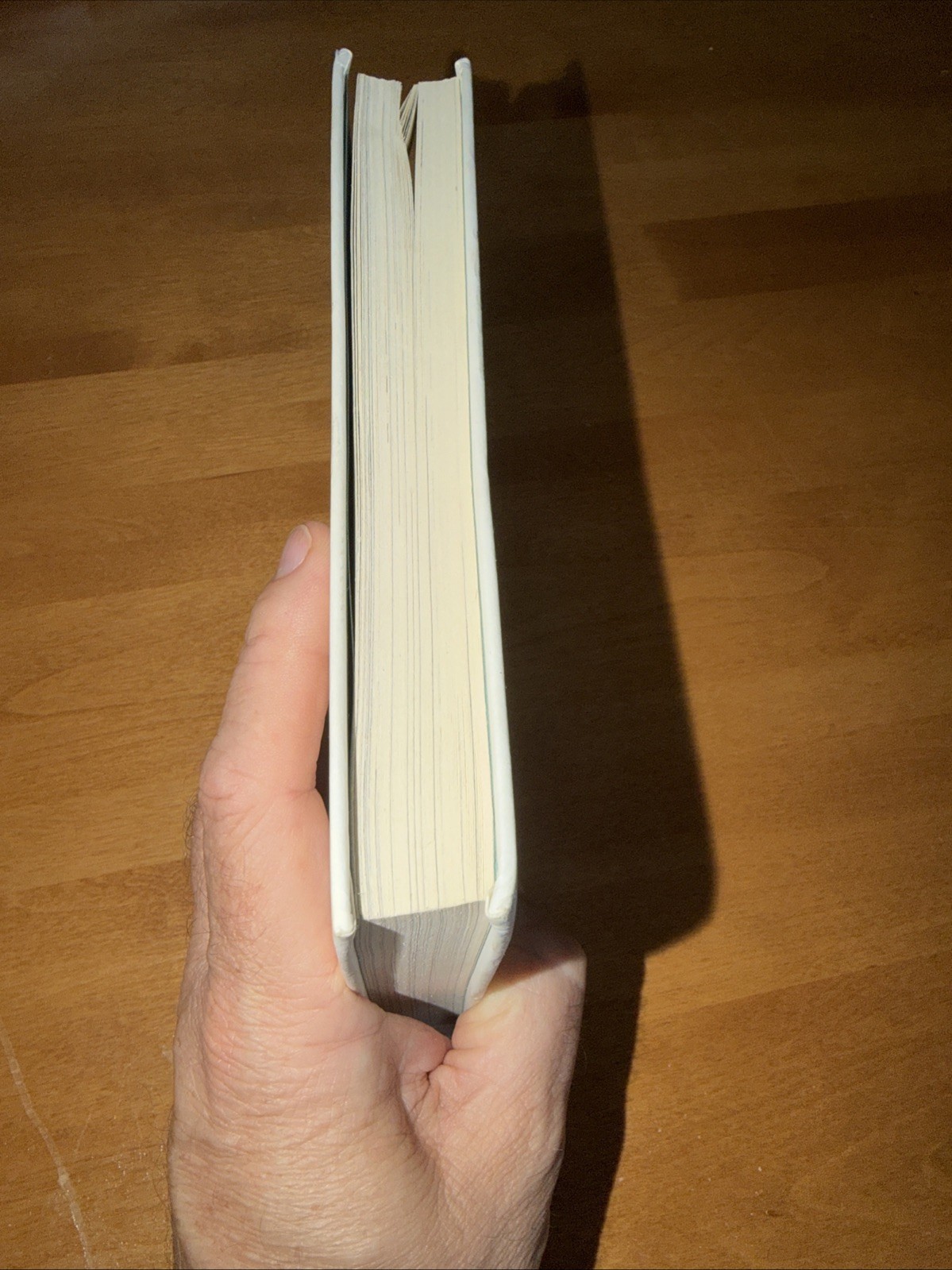 The Wild Robot by Peter Brown. First Edition. Hardcover. Good Condition.