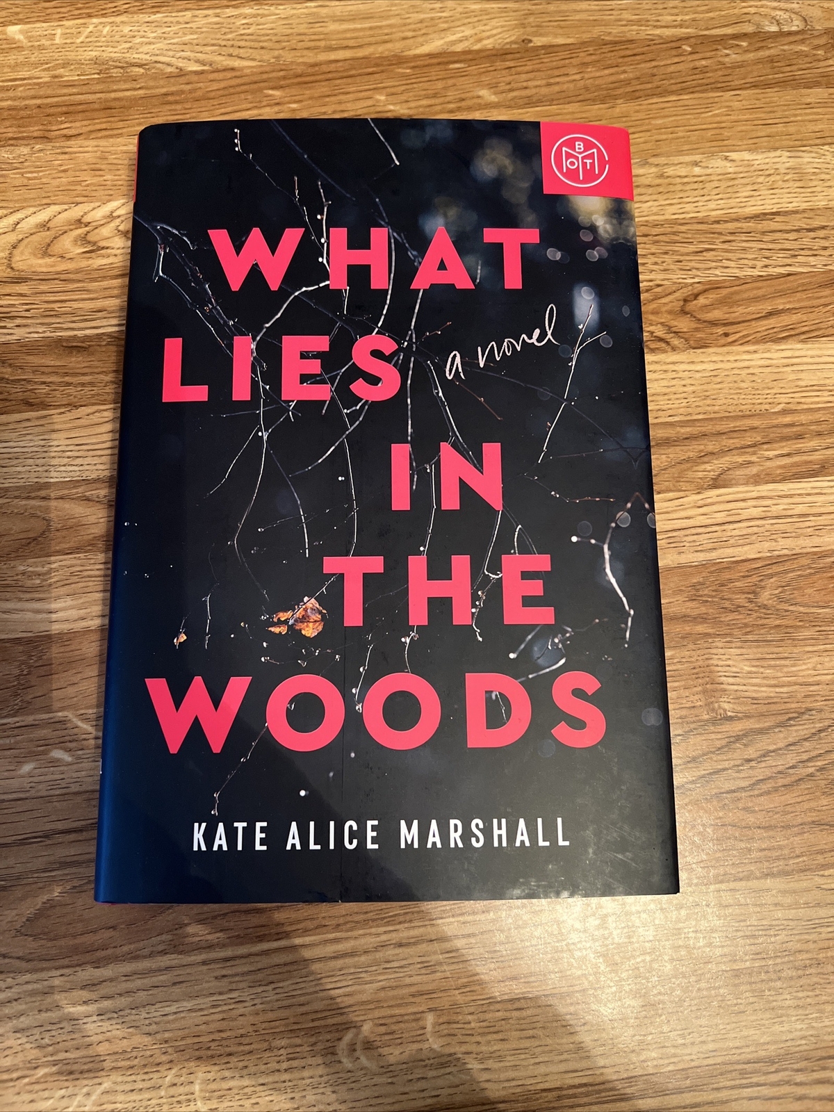 What Lies in the Woods : A Novel by Kate Alice Marshall (2023, Hardcover)