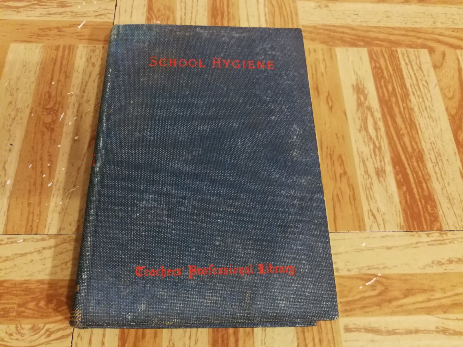 SCHOOL HYGIENE by EDWARD R SHAW 1902 TEACHERS PROFESSIONAL LIBRARY PHYSIOLOGY