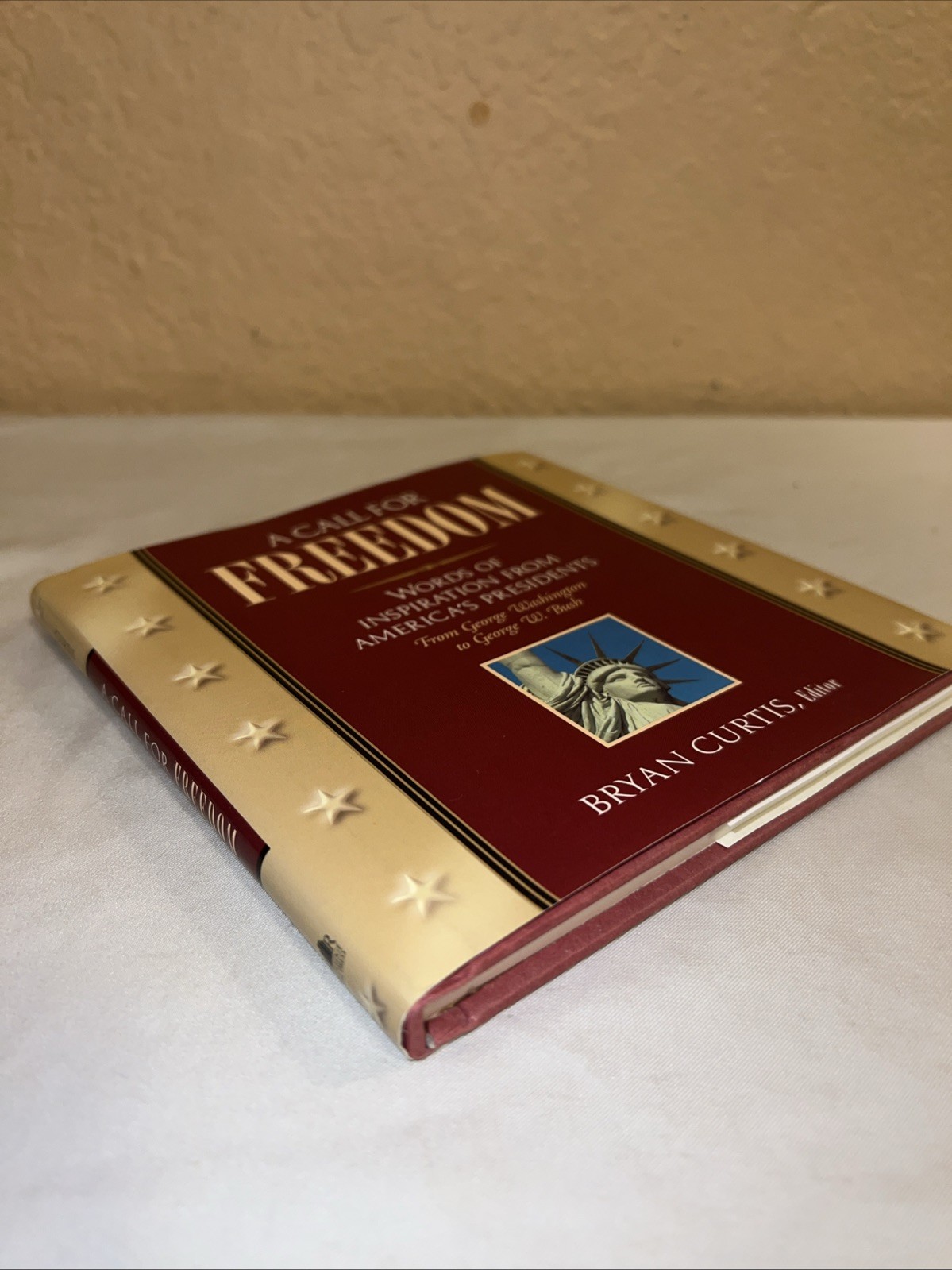 A Call for Freedom Hardcover Bryan Curtis 2002 – LIKE NEW – Illustrations