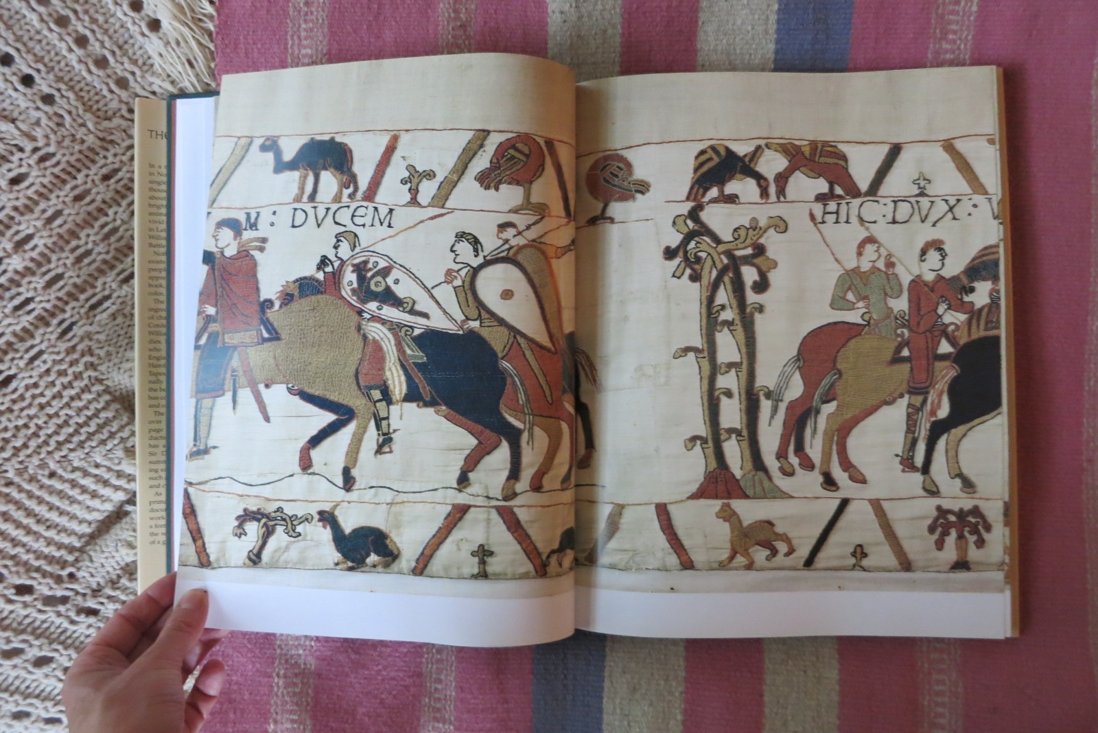 The Bayeux Tapestry HC/DJ 2004 David Wilson Needlepoint Cross Stitch History UK