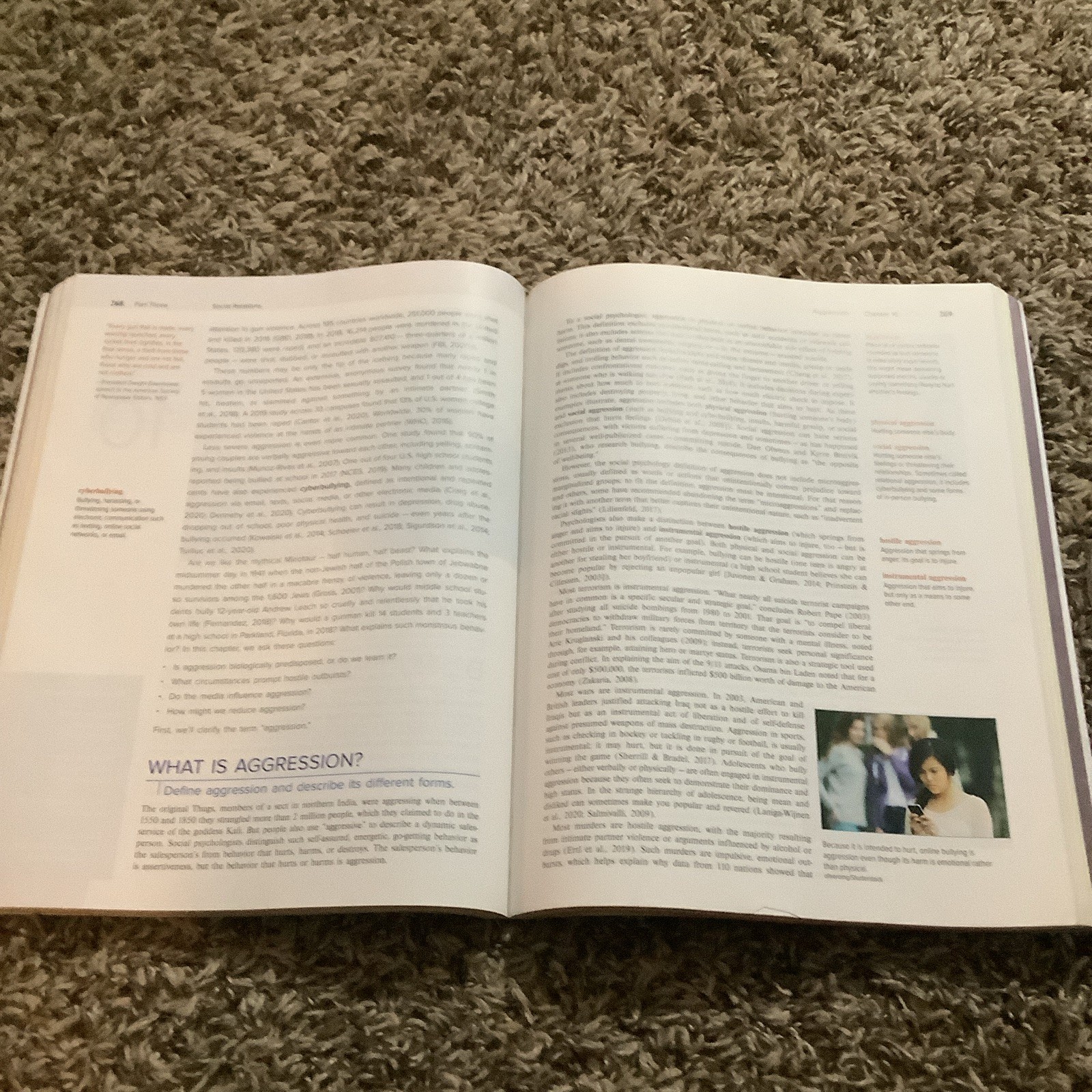 McGraw Hill Social Psychology 14E International Student Edition