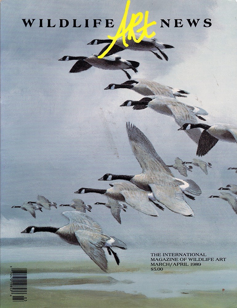 1989 WILDLIFE ART NEWS Full Year 6 Issues + 1990 & 1991 Artist Profile Yearbooks