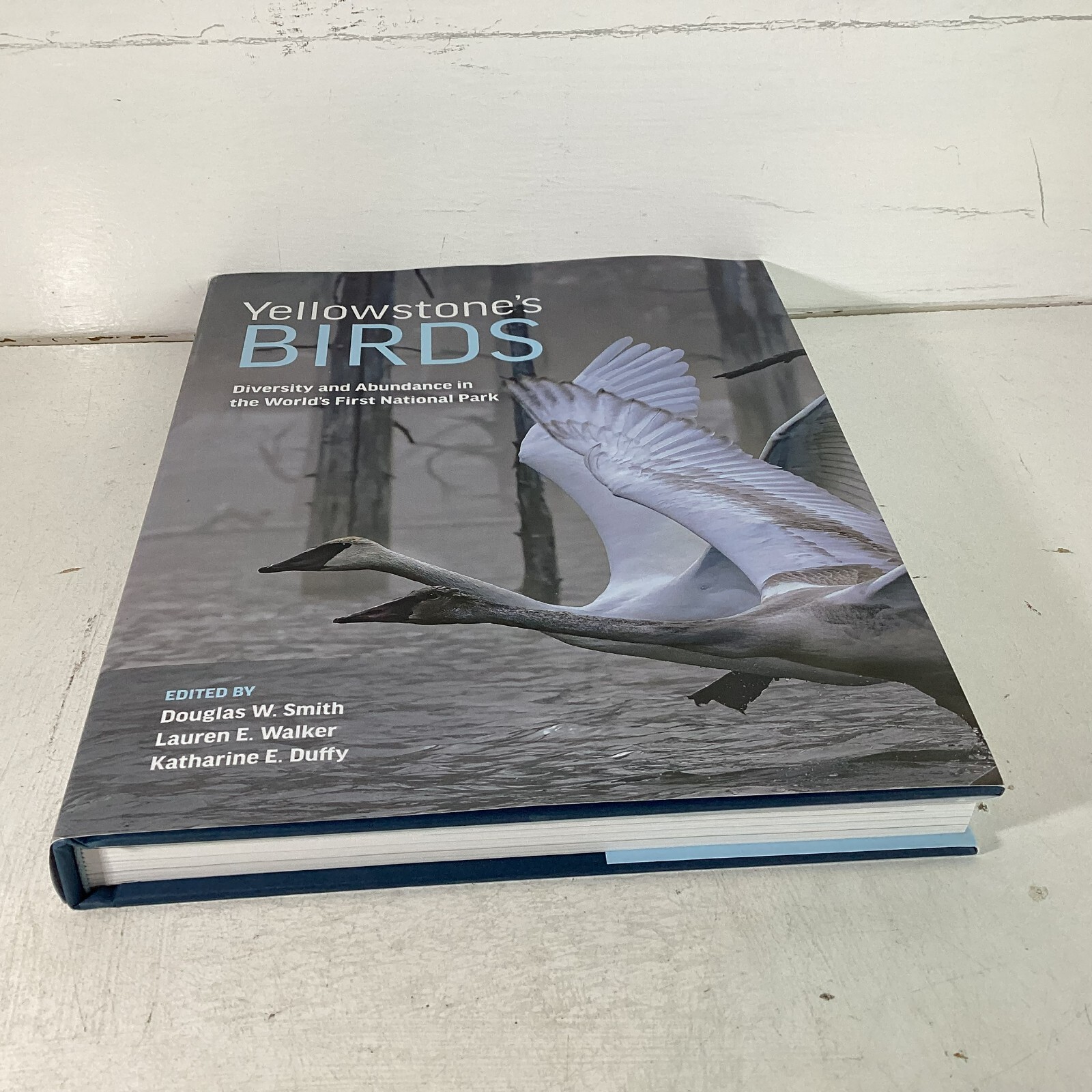Yellowstone’s Birds Douglas Smith HC DJ Like New