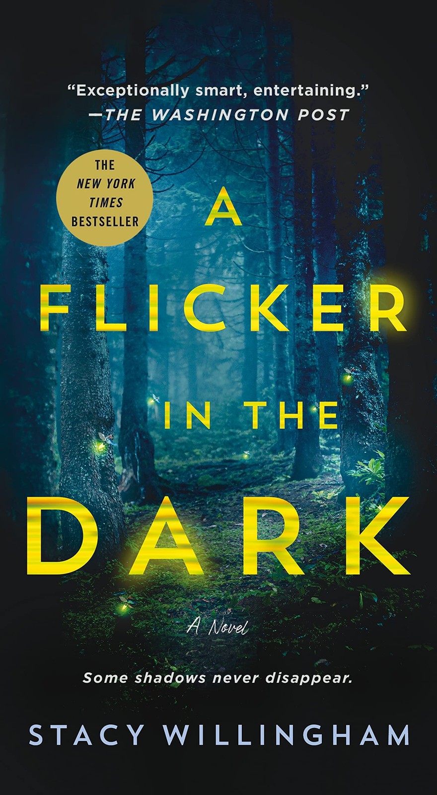 A Flicker in the Dark: A Novel – mass market paperback Willingham, Stacy