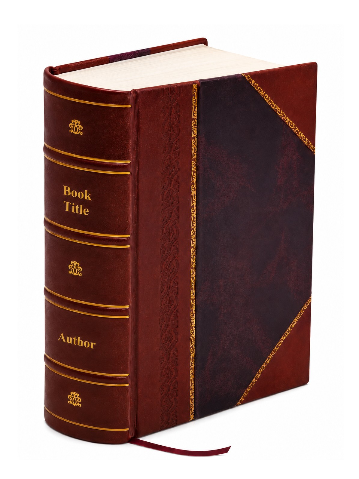 History of the Disciples of Christ in Illinois, 1819-1914 1915 [Leather Bound]