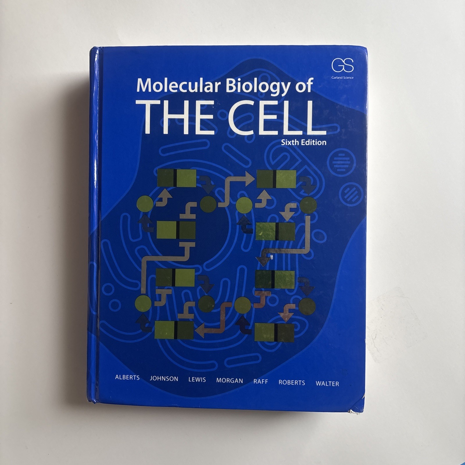 Molecular Biology of the Cell by Bruce Alberts, David Morgan, Martin Raff, etc…