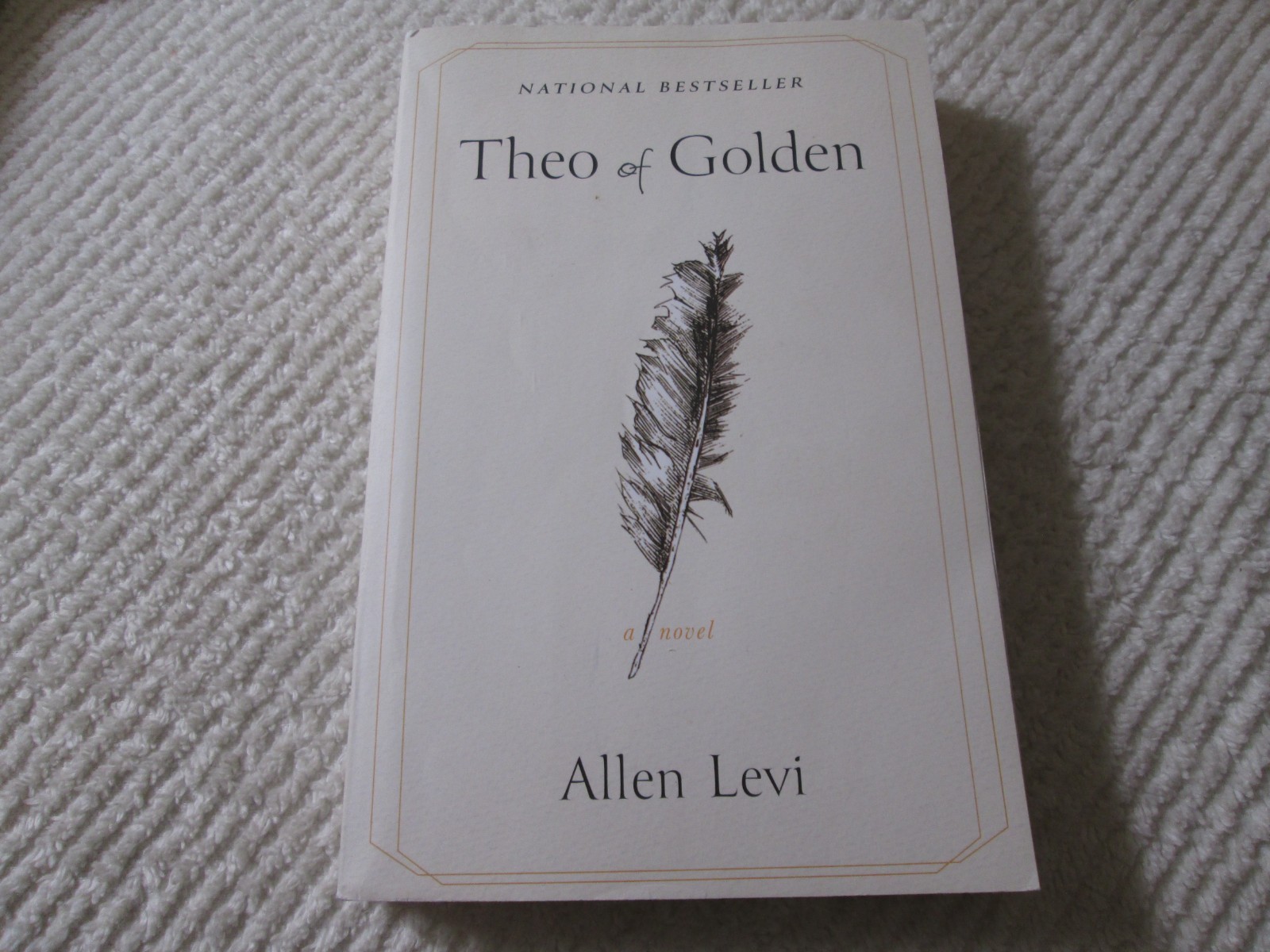 Theo of Golden by Allen Levi 2025 Trade Paperback