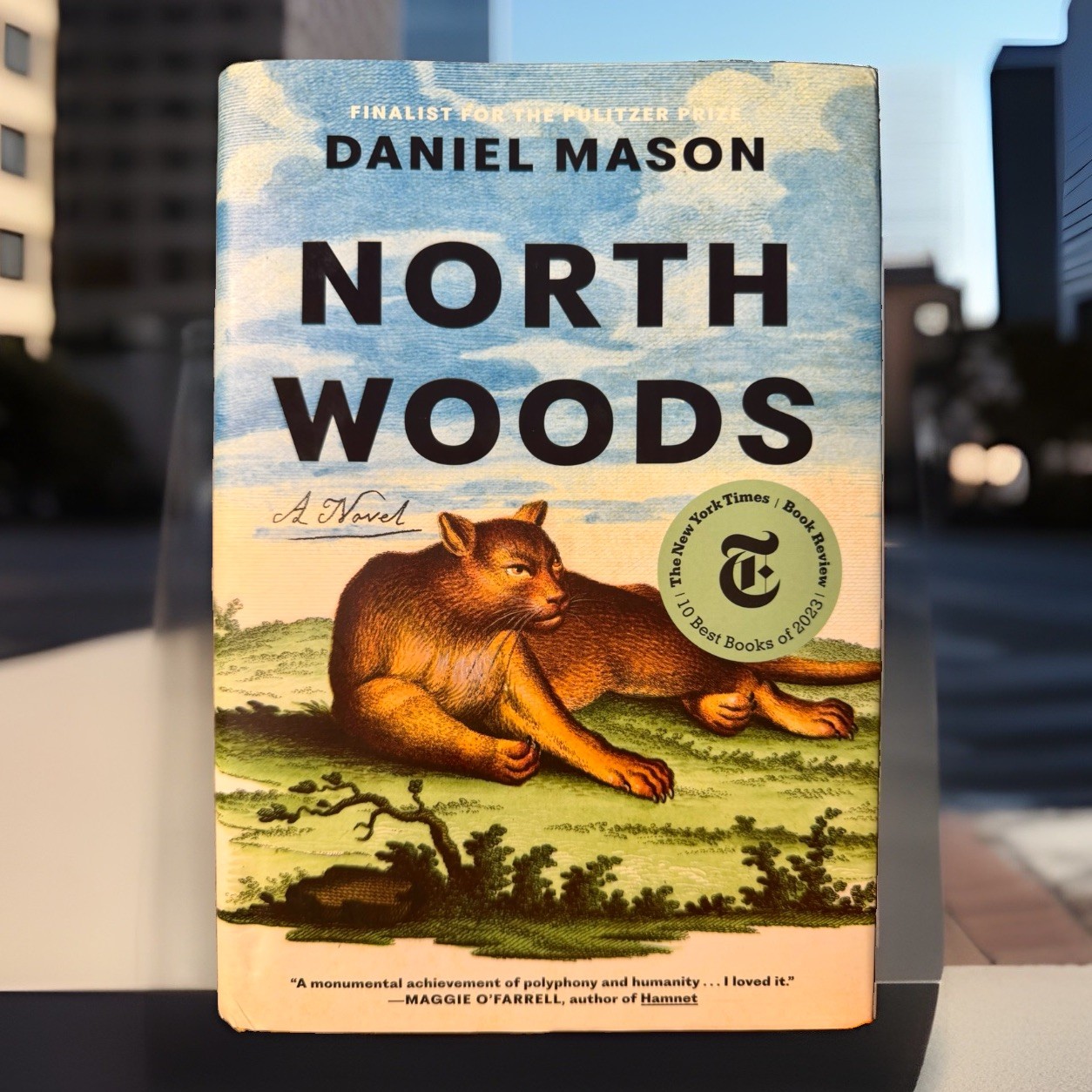 North Woods : A Novel by Daniel Mason (2023, Hardcover)