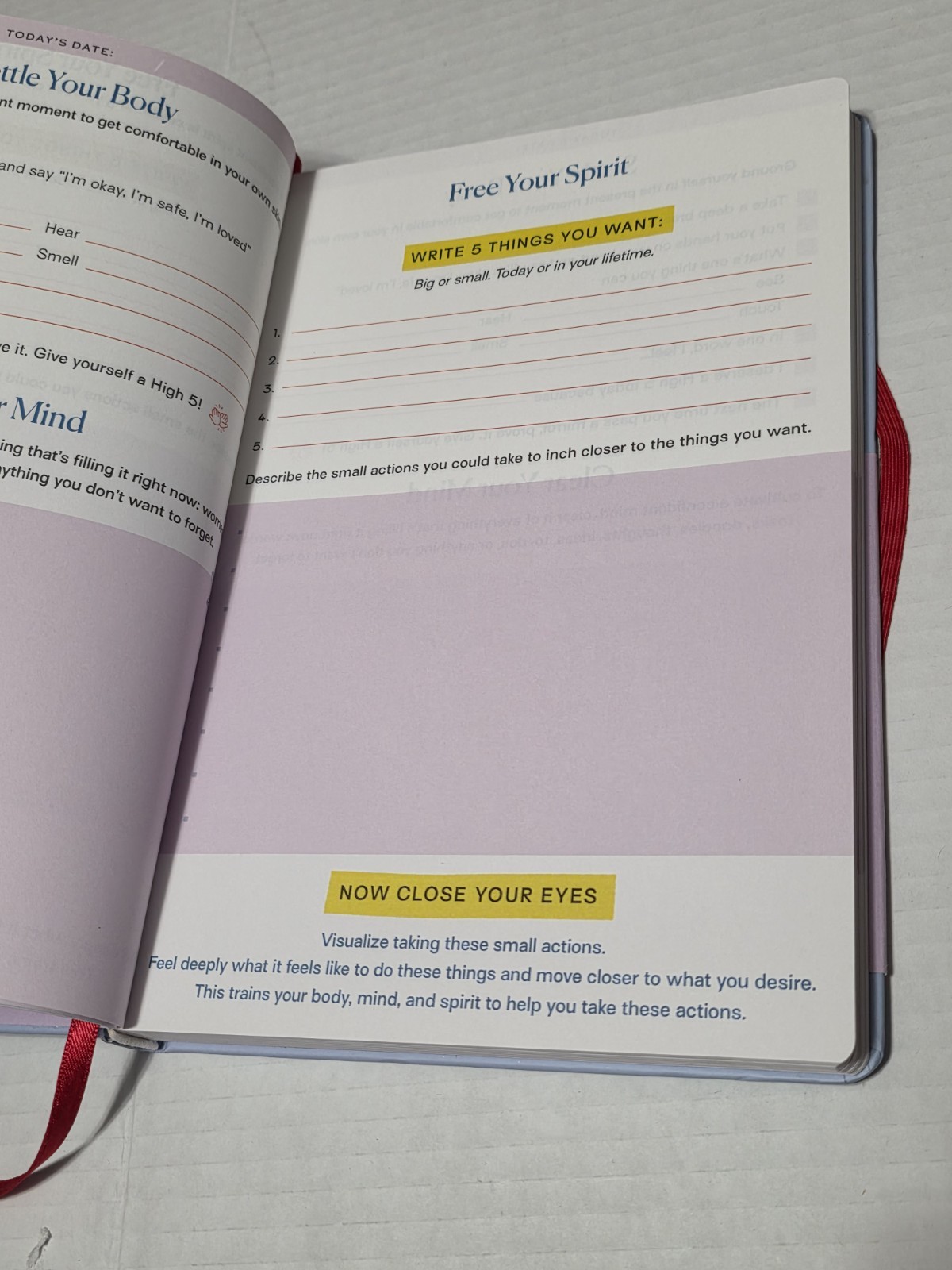 High 5 Daily Journal by Mel Robbins (2021, Diary, Journal, Blank Book)