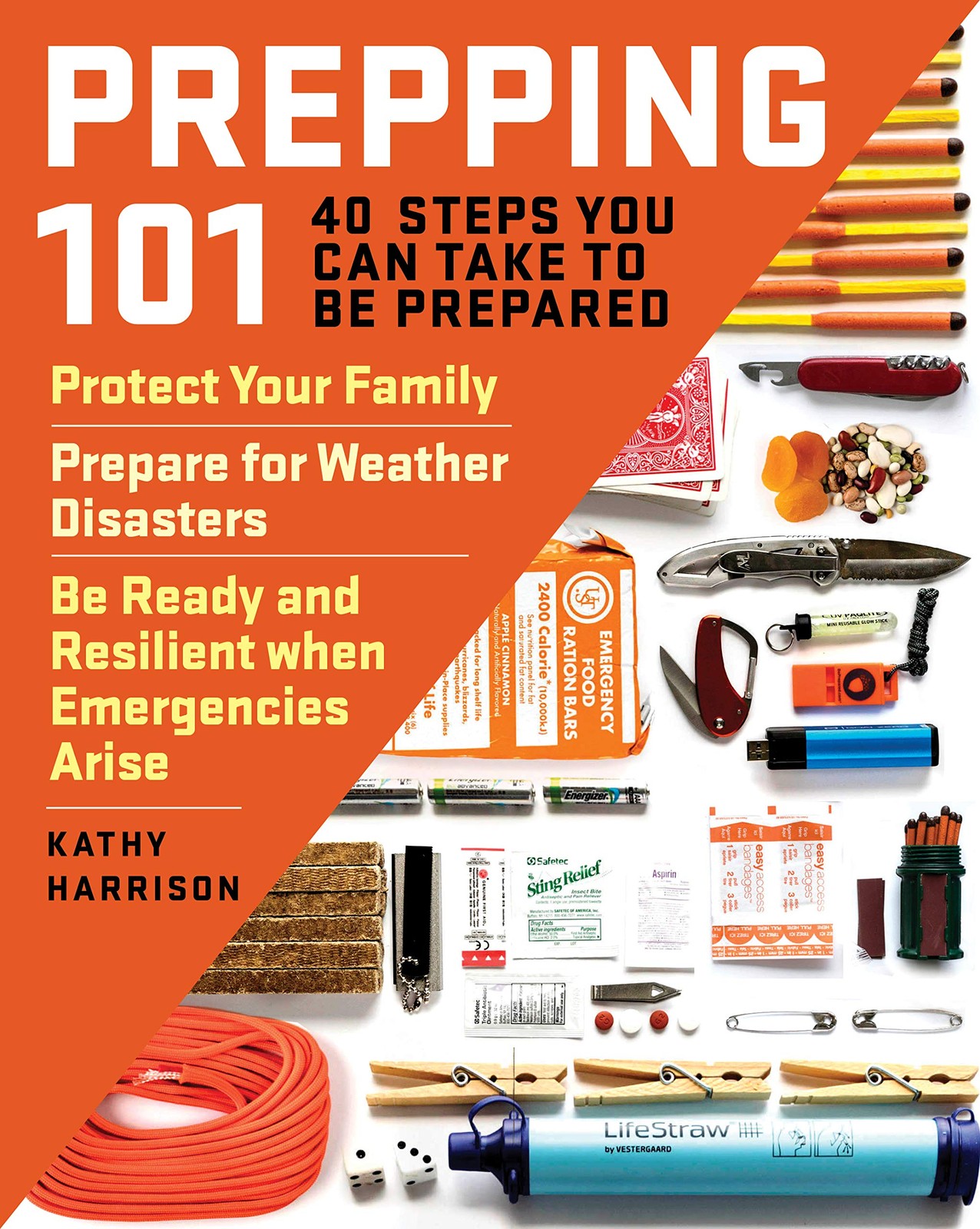 Prepping 101: 40 Steps You Can Take to Be Prepared: Protect Your Family, Pre…