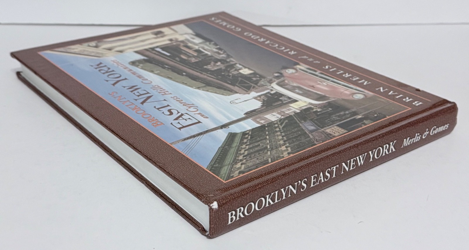 Brooklyn’s East New York and Cypress Hills Communities Merlis and Gomes 2010 HC