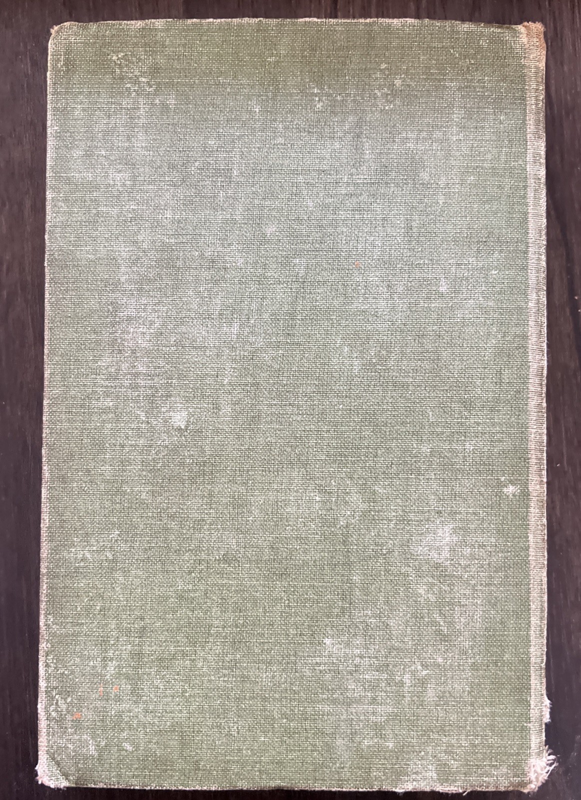 The Son of Tarzan by Edgar Rice Burroughs 1917 First Edition