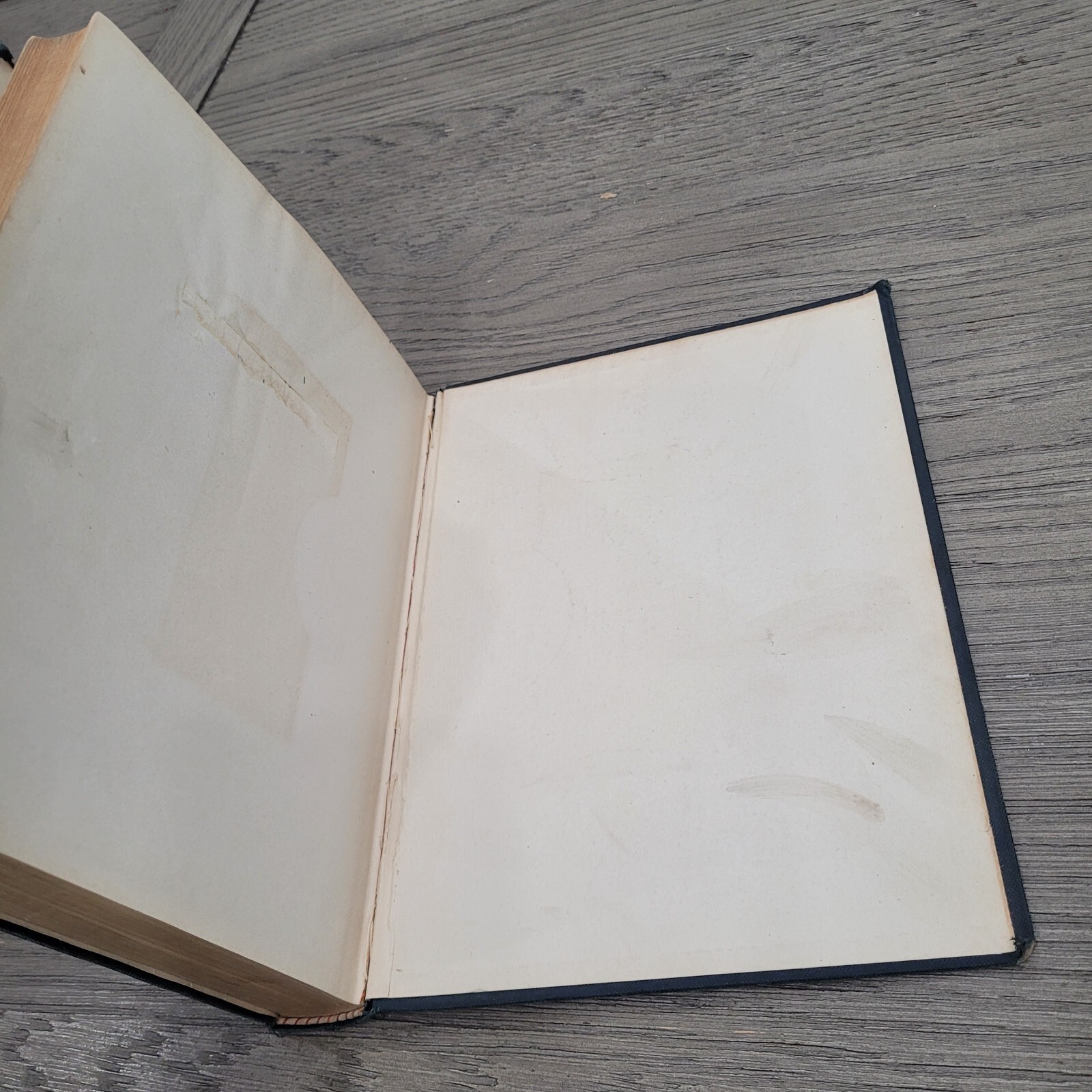 Arbor Day Manual – Large 1896 Program Aid Book by Charles Skinner 475 Pages