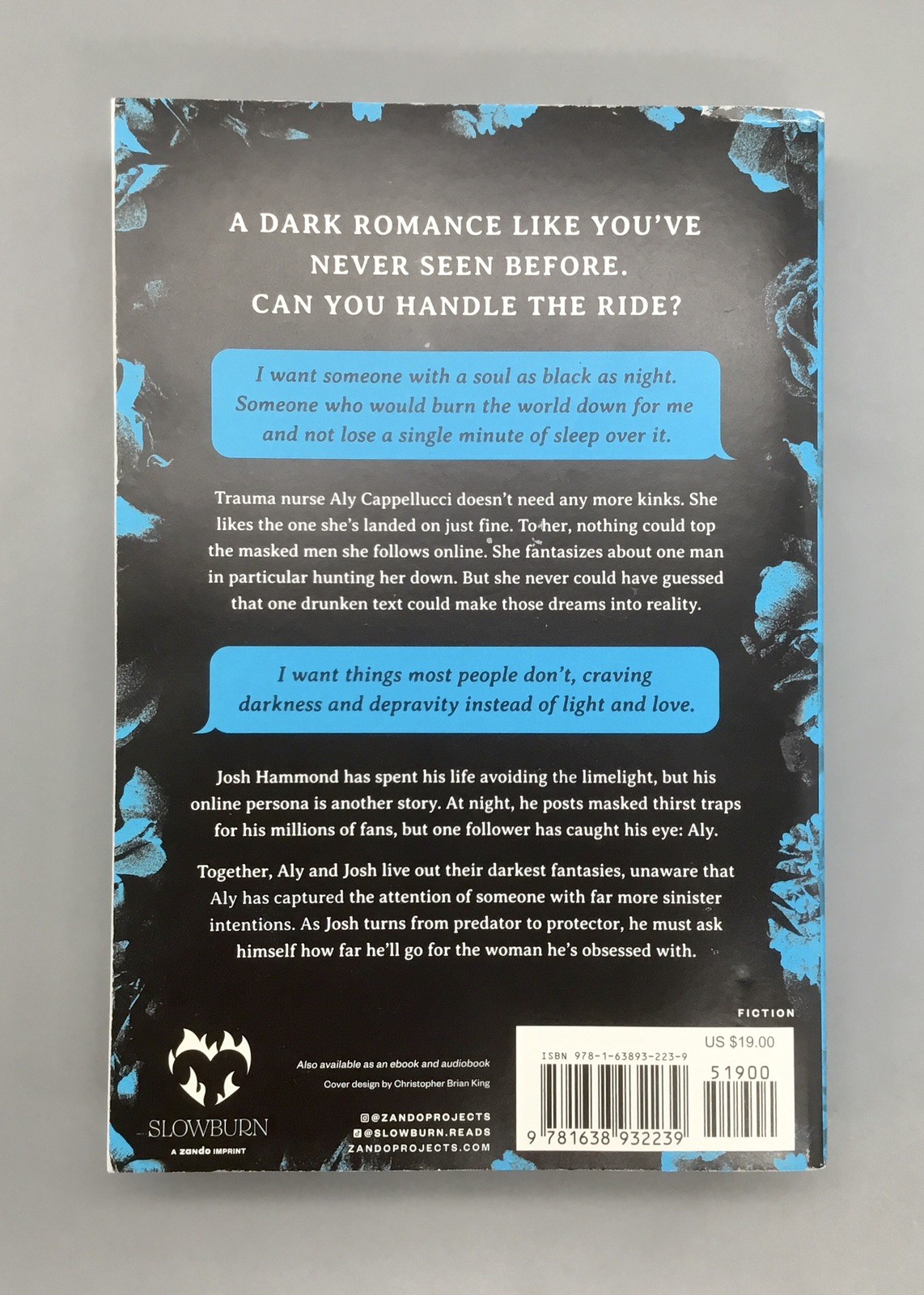 Lights Out by Navessa Allen an Into Darkness Novel Paperback book