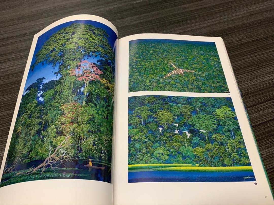 Art works Book of Emerald forest by Hiroo Isono EMERALD FOREST Art Illustration