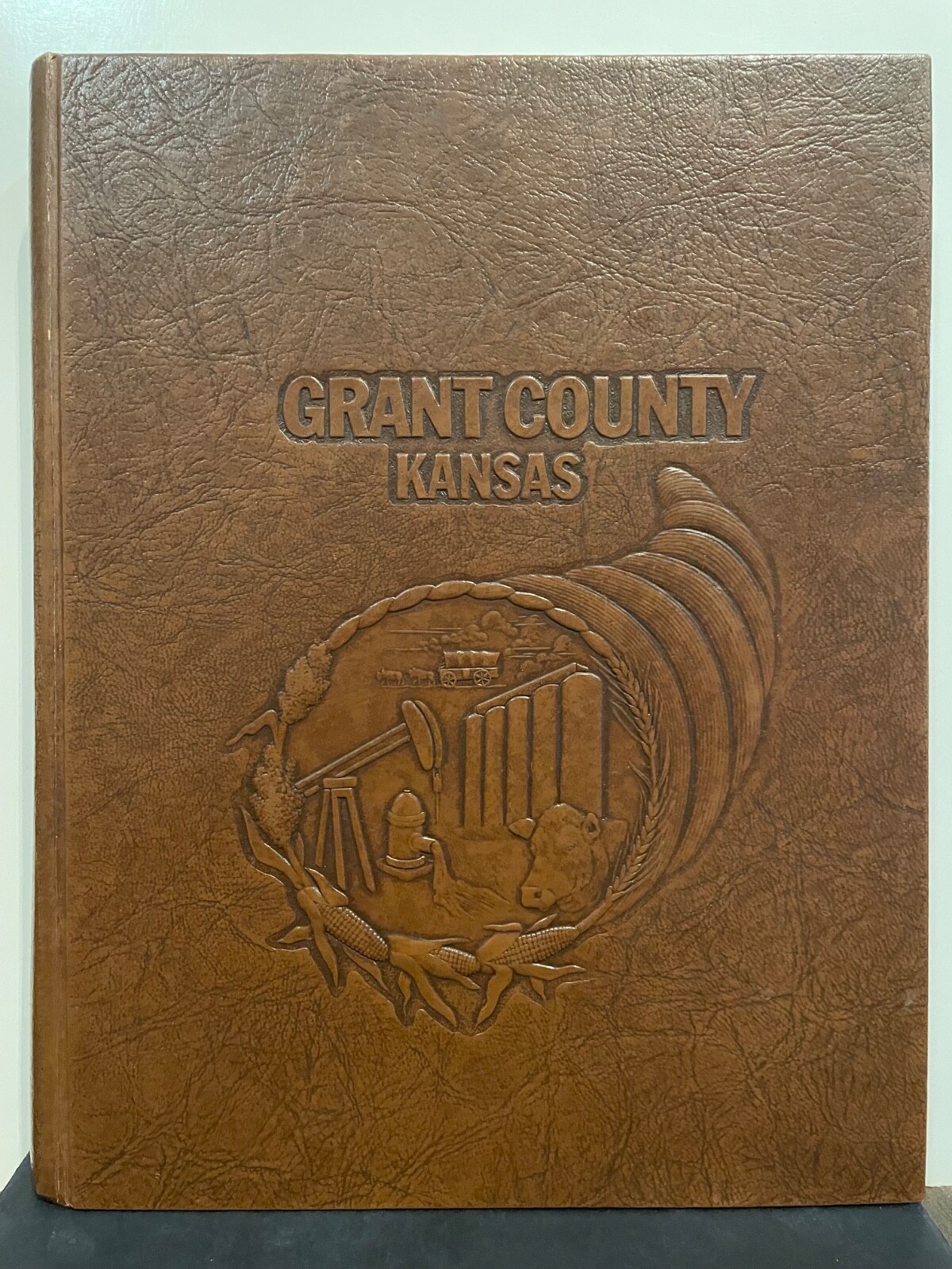 GRANT COUNTY KANSAS 1982 HUGE!! 584 PAGES! LOTS OLD PHOTOS NM