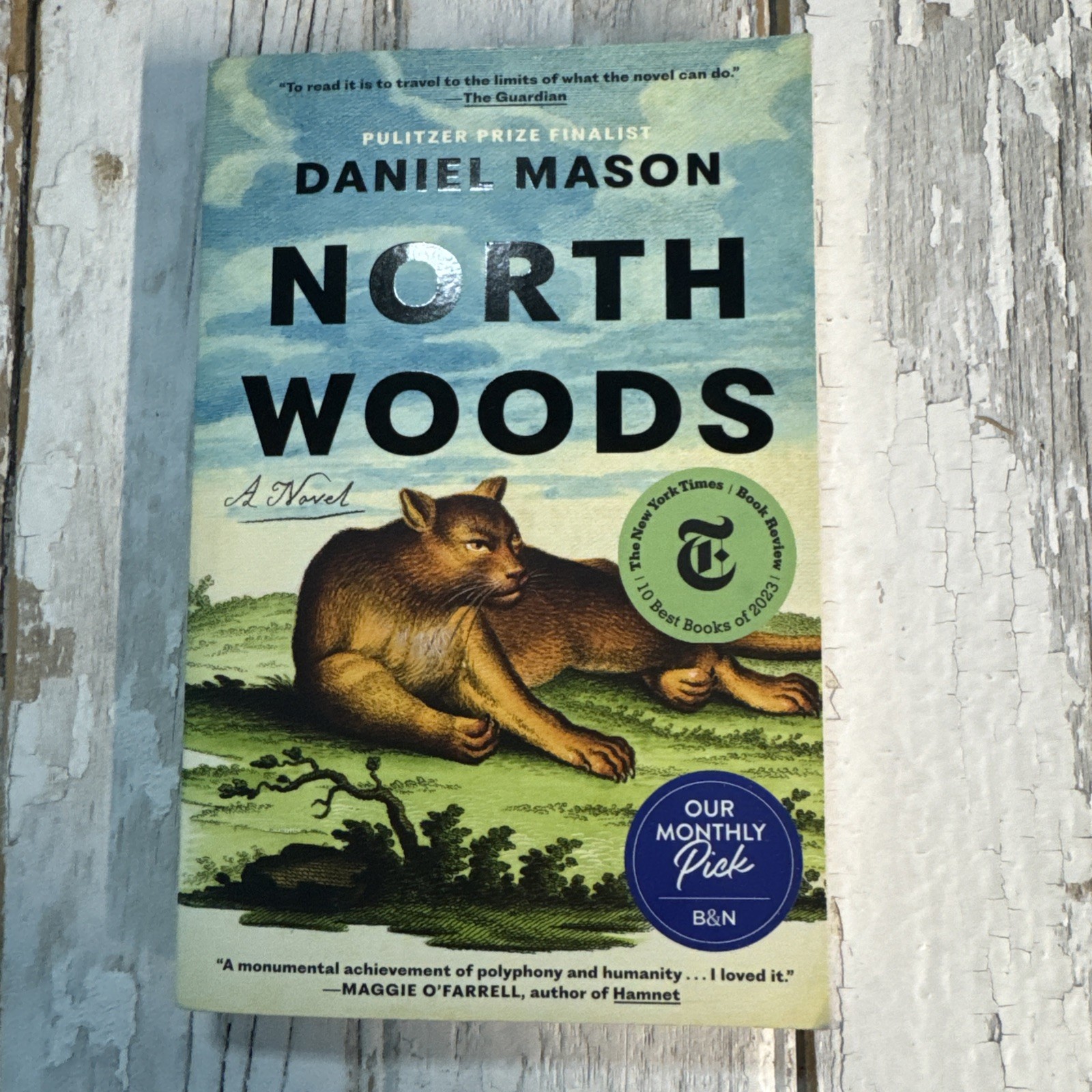 North Woods : A Novel by Daniel Mason (2024, Trade Paperback)
