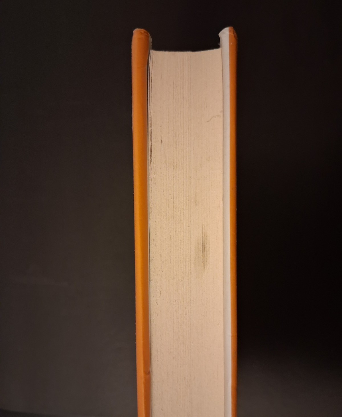 The Labrador Pact: A Novel – Hardcover By Haig, Matt – GOOD