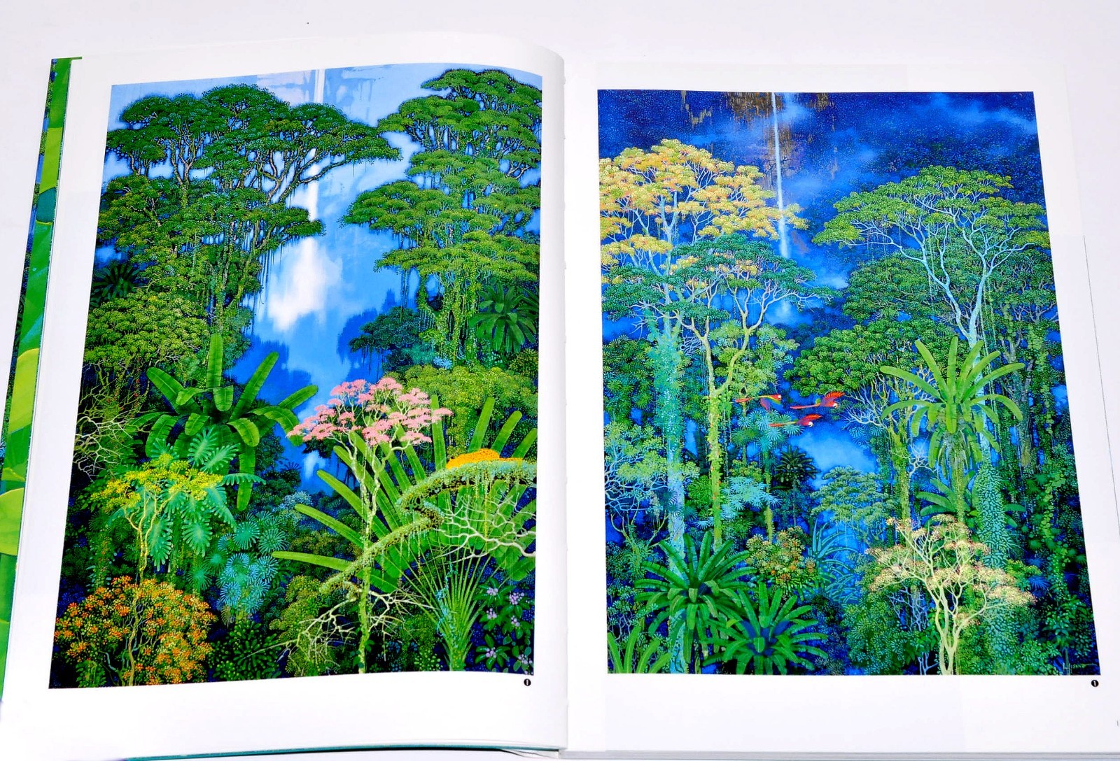 Art works Book of Emerald forest by Hiroo Isono EMERALD FOREST Art Illustration