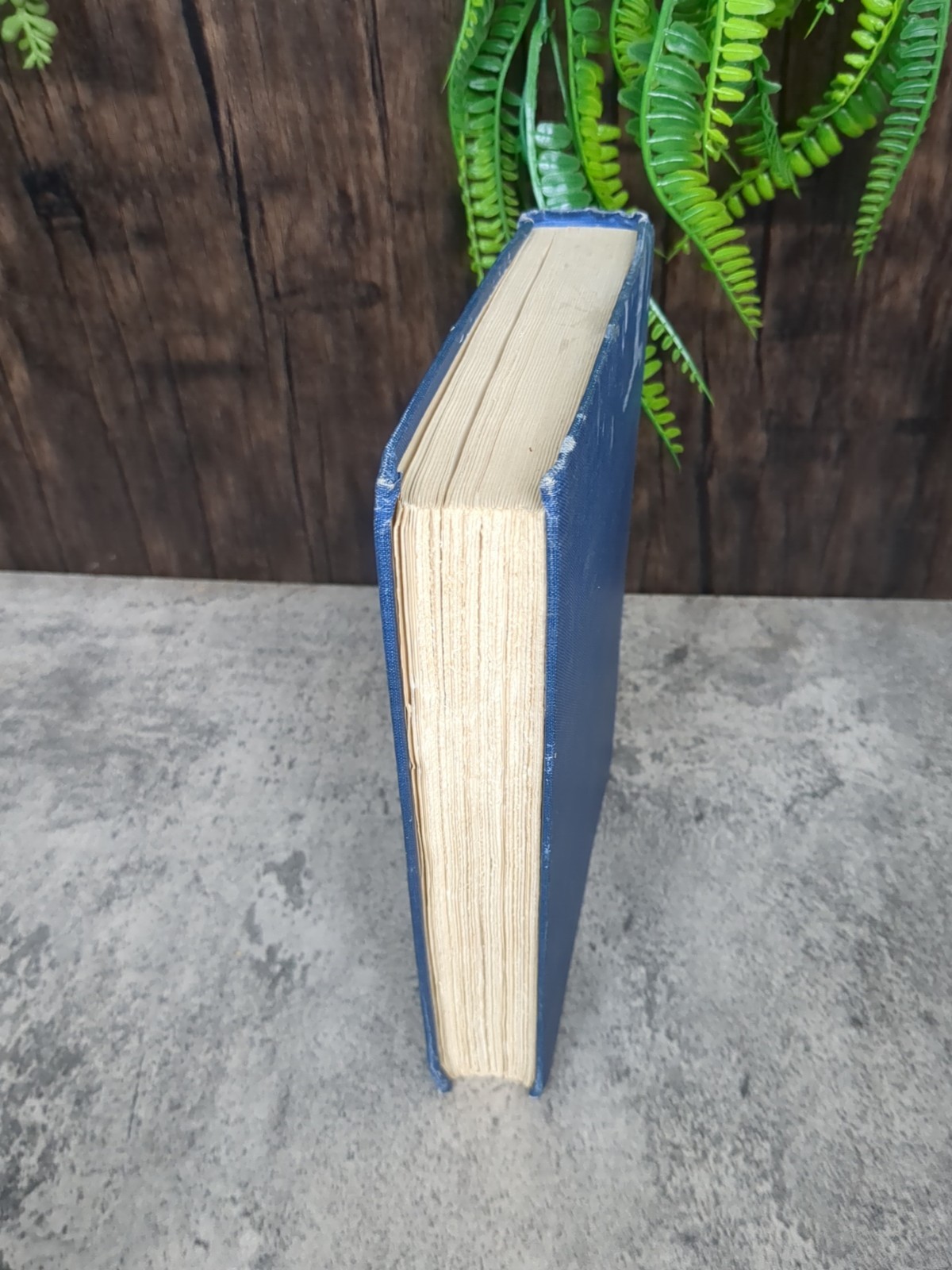 Constantinople Settings And Traits H.G Dwight 1926 SIGNED Hardcover