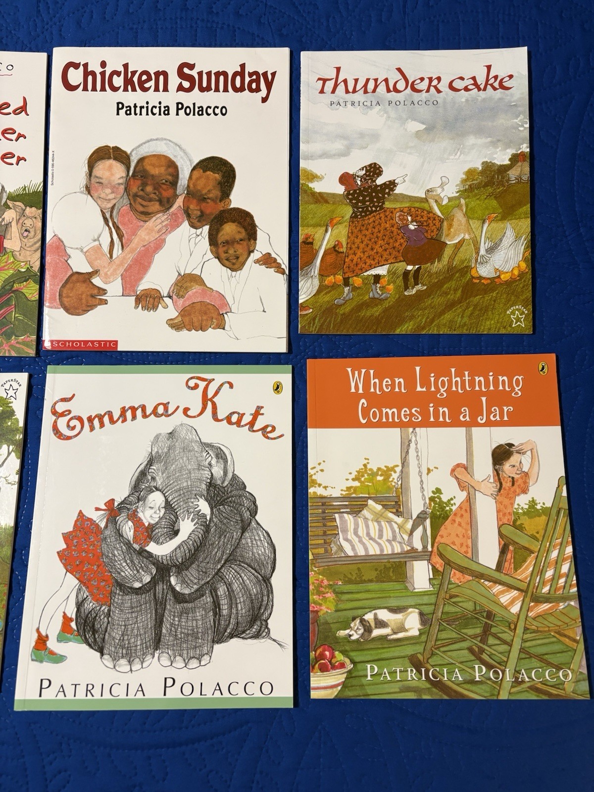LIKE NEW Lot of 10 Patricia Polacco Books- Thunder Cake, Chicken Sunday & More