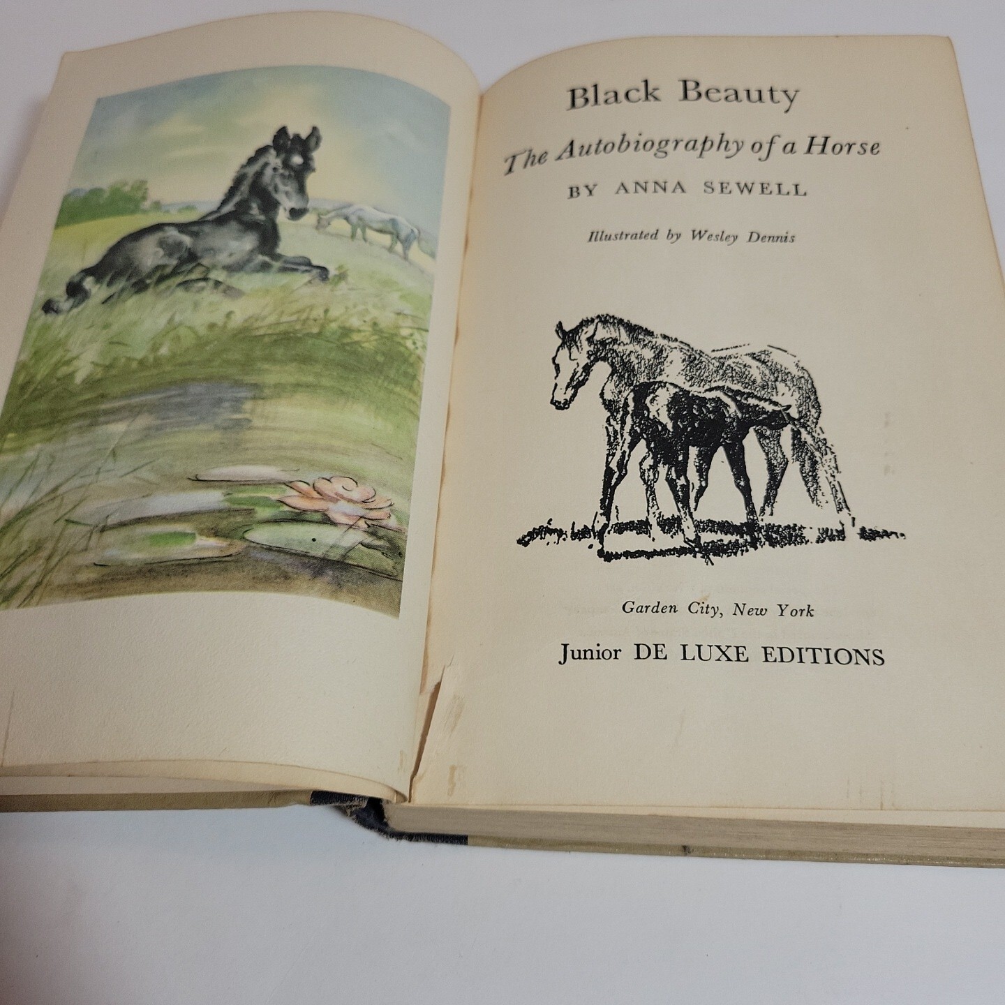 Vintage Black Beauty Book 1946 Anna Sewell Junior Deluxe Editions Hardcover