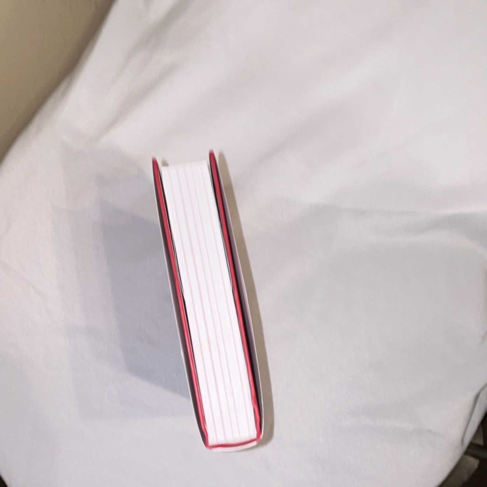 Howard Stern Comes Again Hardcover Simon & Schuster 2019 Dust Jacket Illustrated