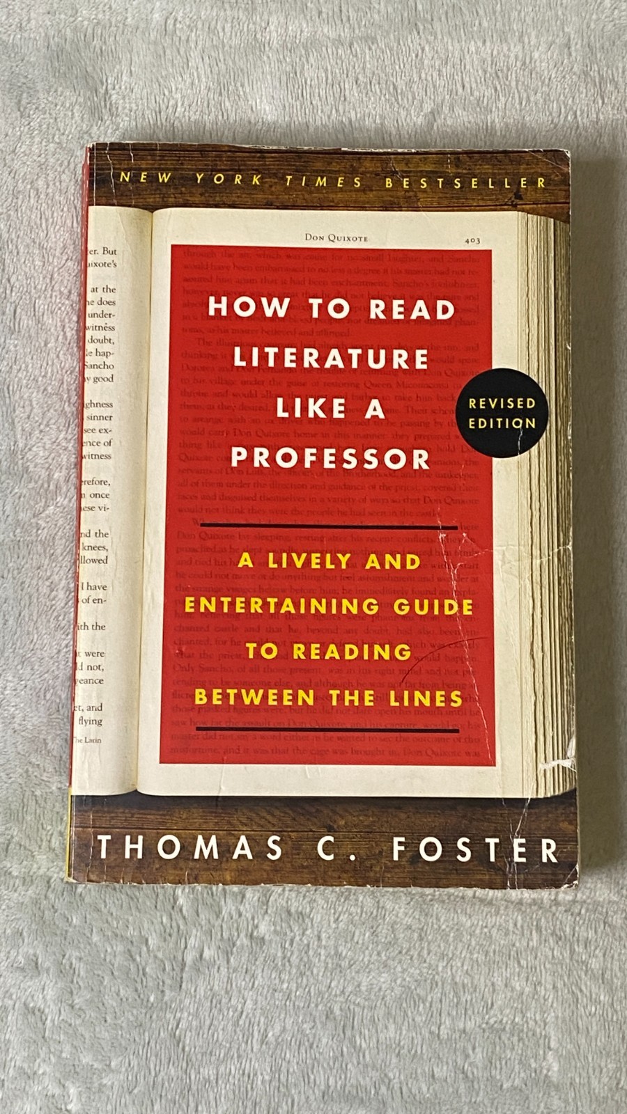 How to Read Literature Like a Professor: A Lively and Entertaining Guide to Read