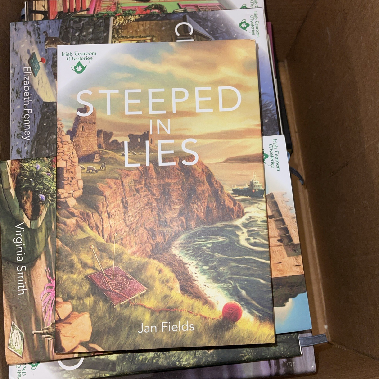 Steeped In Lies Jan Fields Hardcover Book 2 of Irish Tearoom Mysteries 2024