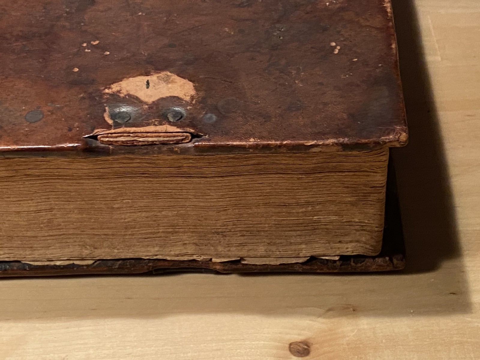 Martyrs Mirror RARE 1814 Joseph Ehrenfried Leather Mennonite Lancaster Amish HC