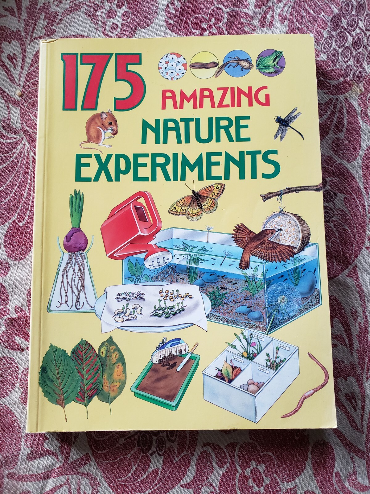 175 Amazing Nature Experiments by Gareth Morgan and Rosie Harlow