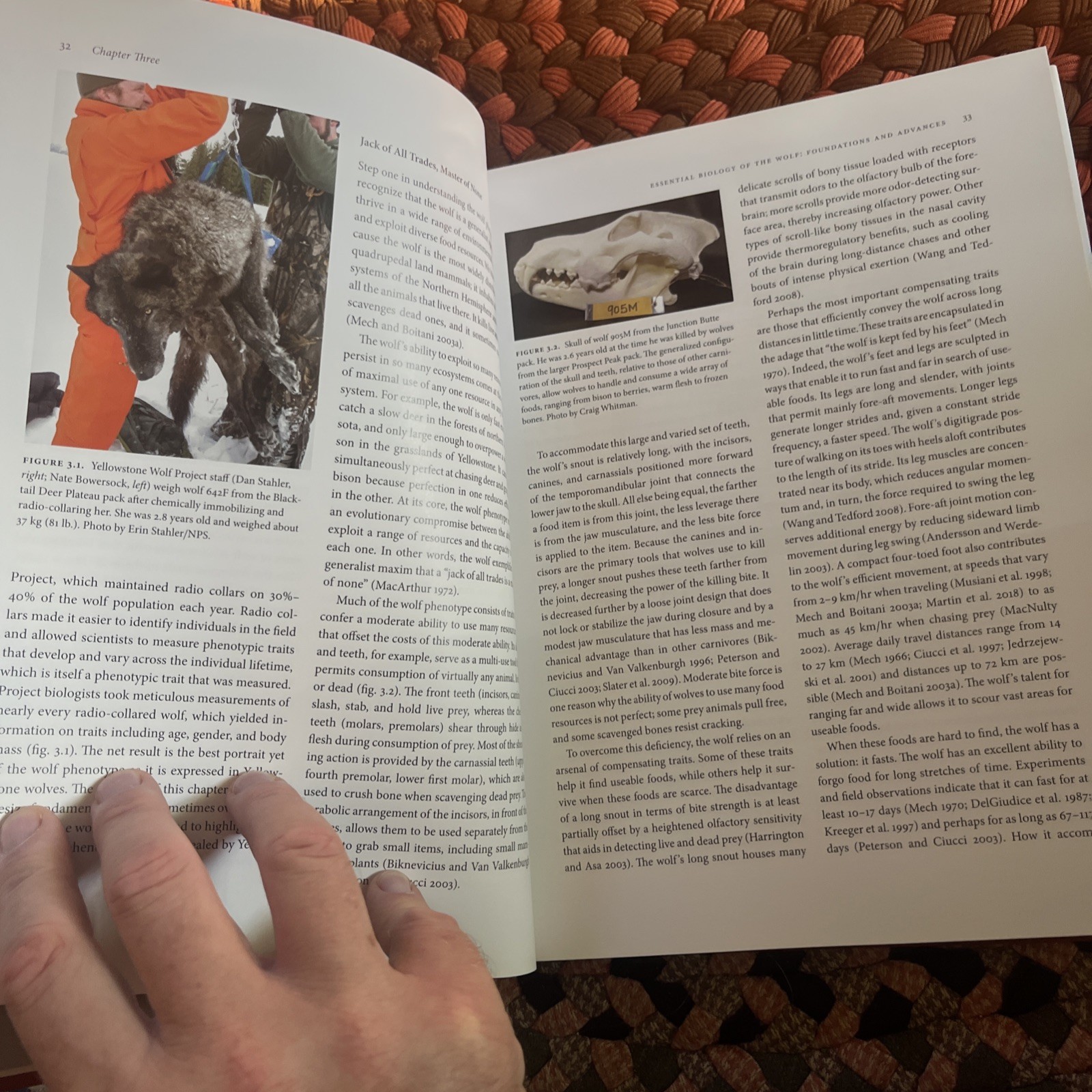 YELLOWSTONE WOLVES: SCIENCE AND DISCOVERY IN THE WORLD’S By Douglas W. Smith