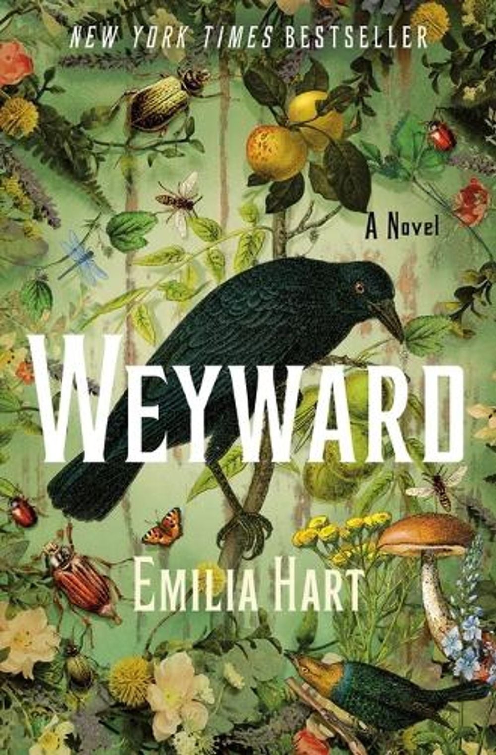 Weyward: A Novel by Emilia Hart (English) Hardcover Book