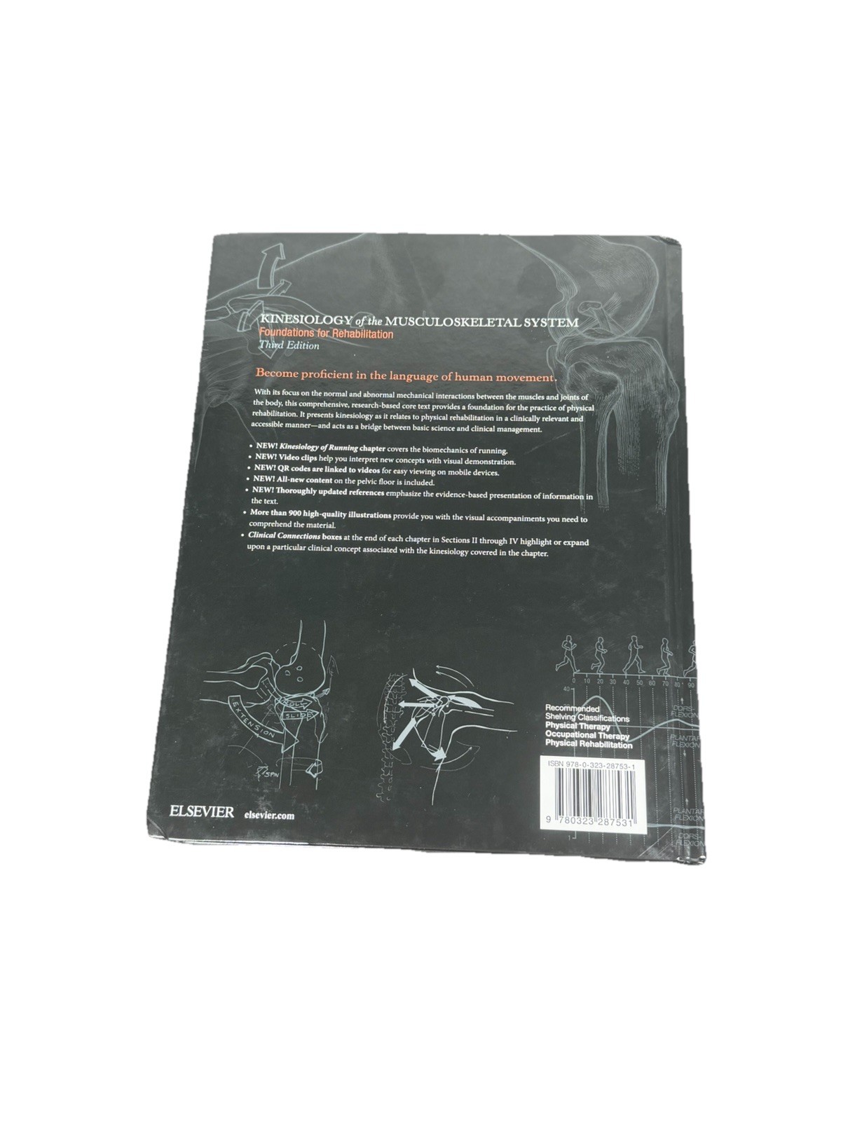 Kinesiology of the Musculoskeletal System : Foundations for Rehabilitation