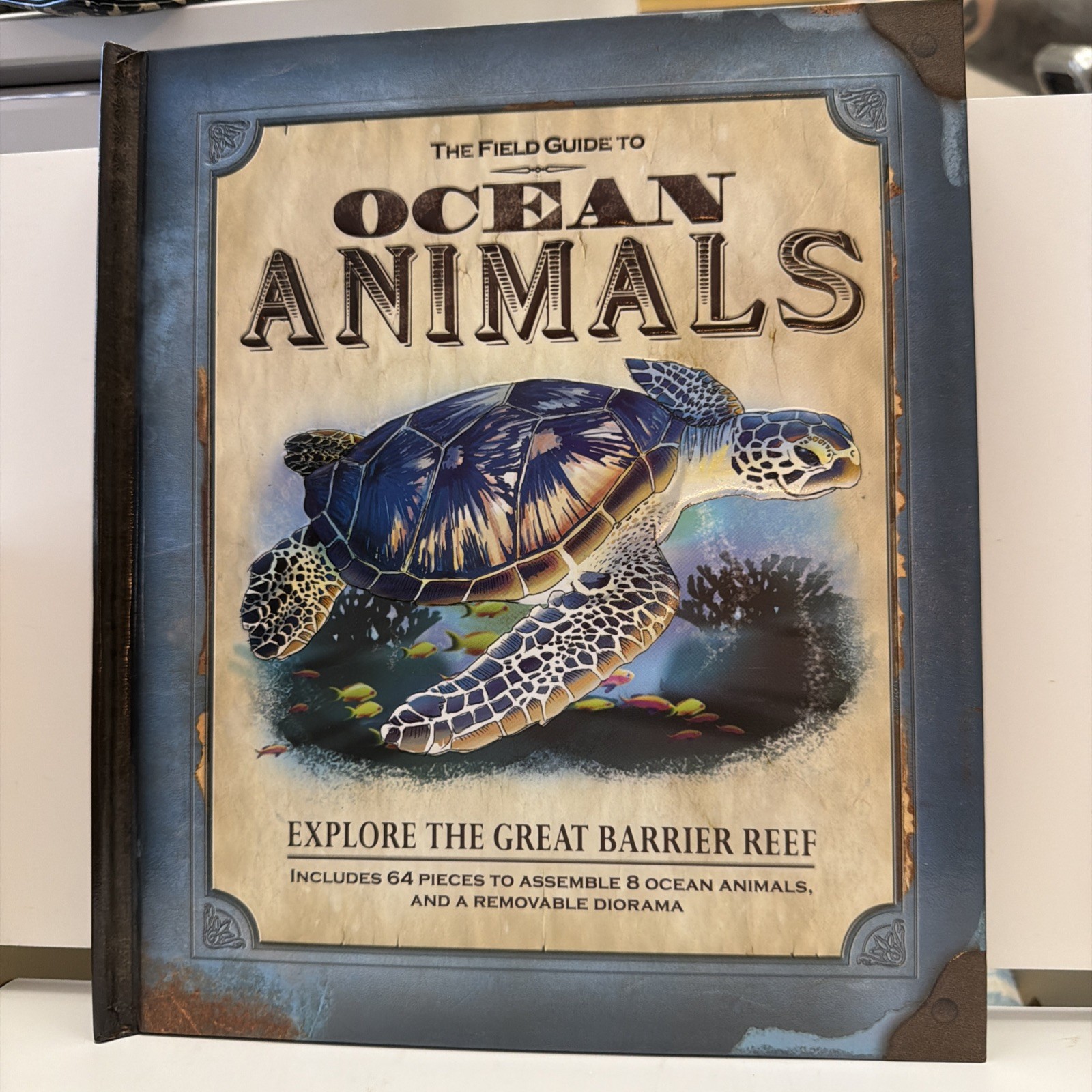 Guide to Ocean Animals : Explore the Great Barrier Reef by Phyllis Perry (2008,