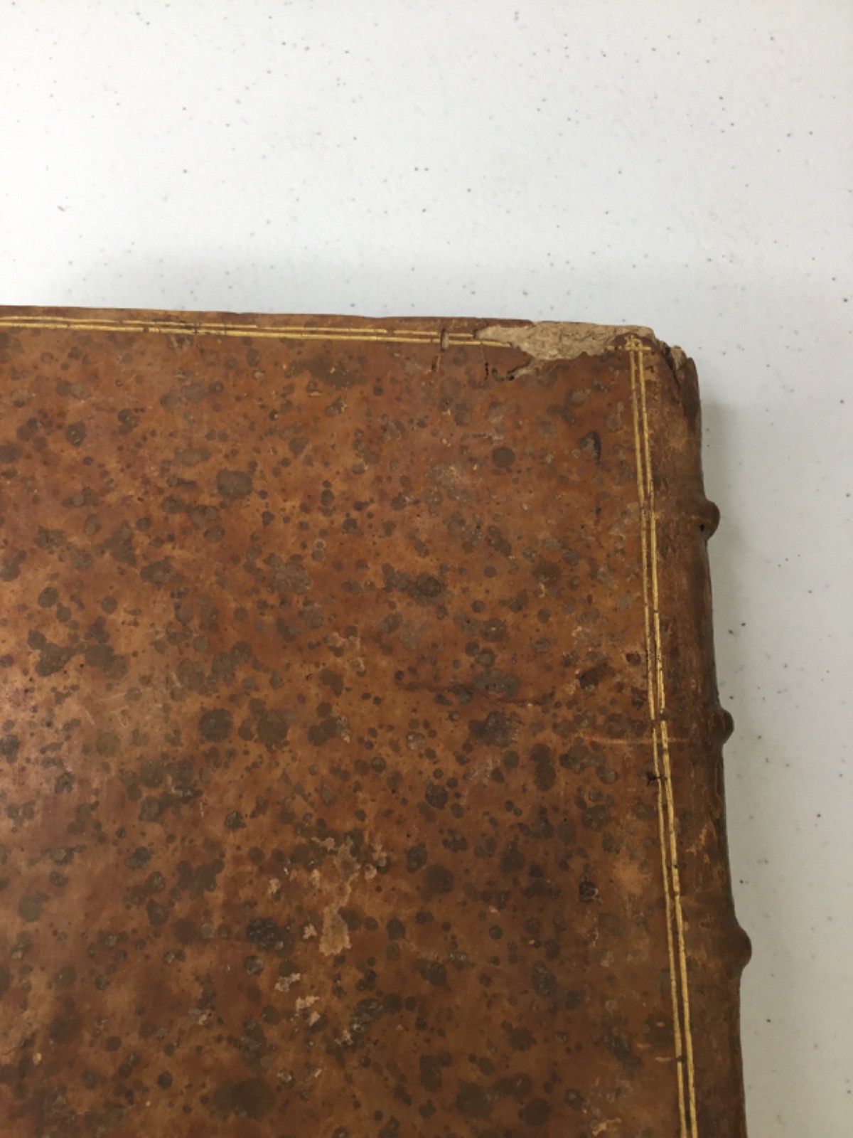 1567 Discours De La Religion Des Anciens Romains, RARE Illustrated Leather Latin