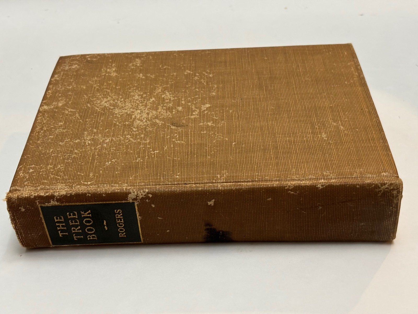 The Tree Book by Julia Ellen Rogers 1908 HC