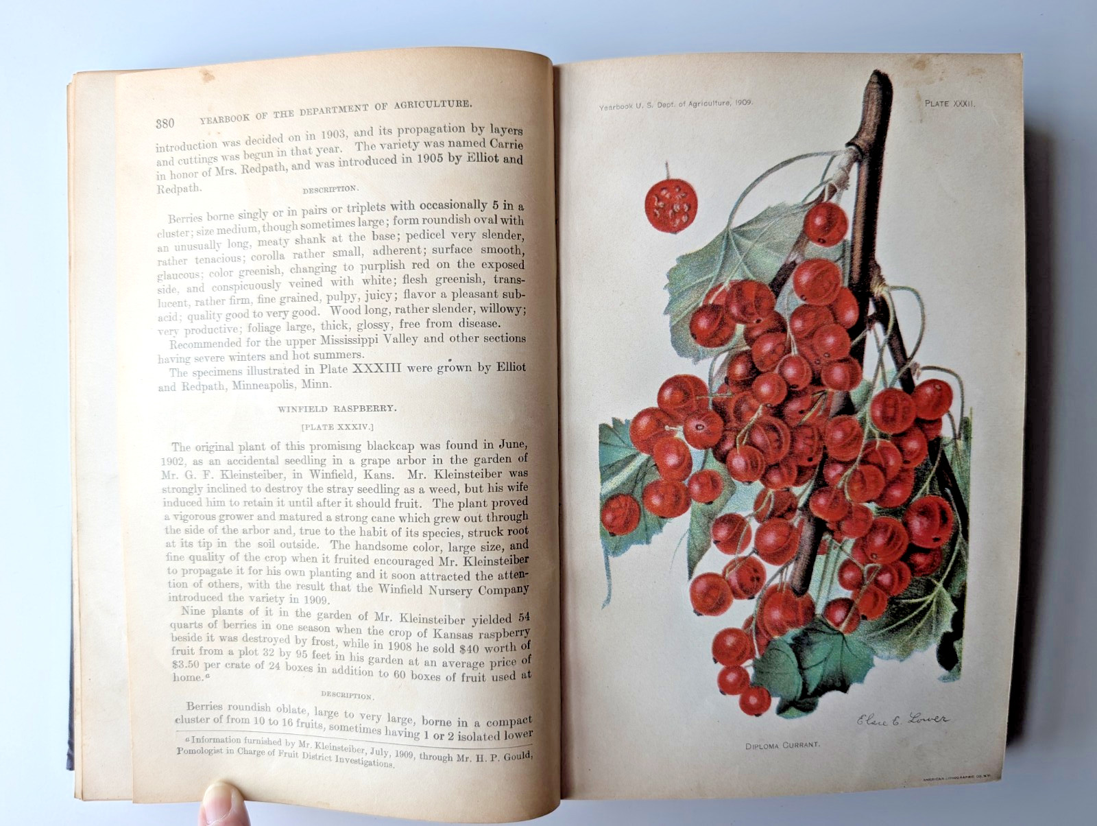 Yearbook of the U.S. Department of Agriculture, 1909 Illustrated Antique HC Book