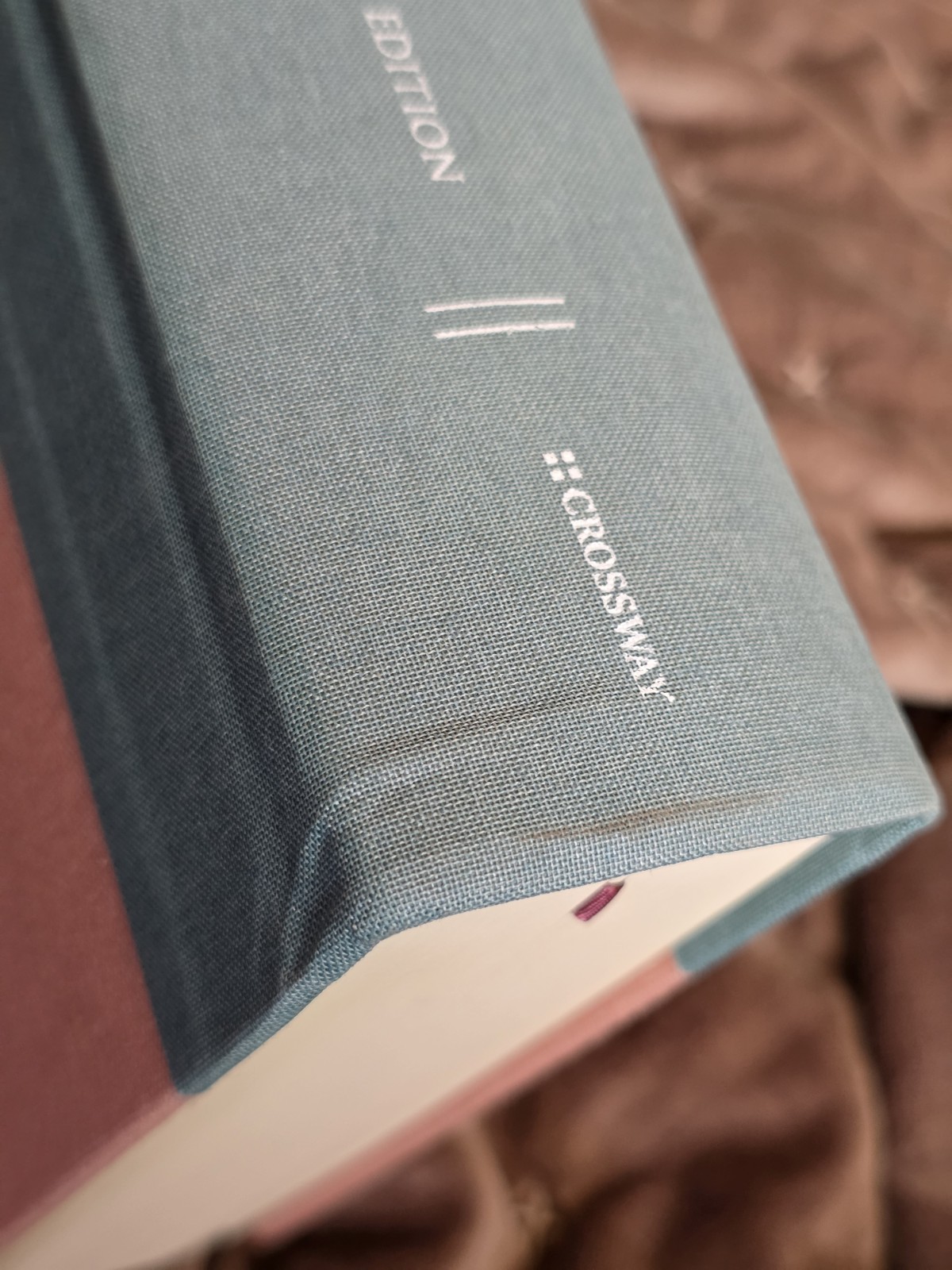 ESV Journaling Bible Interleaved Edition Turquoise/Coral Cloth over Board w/ box