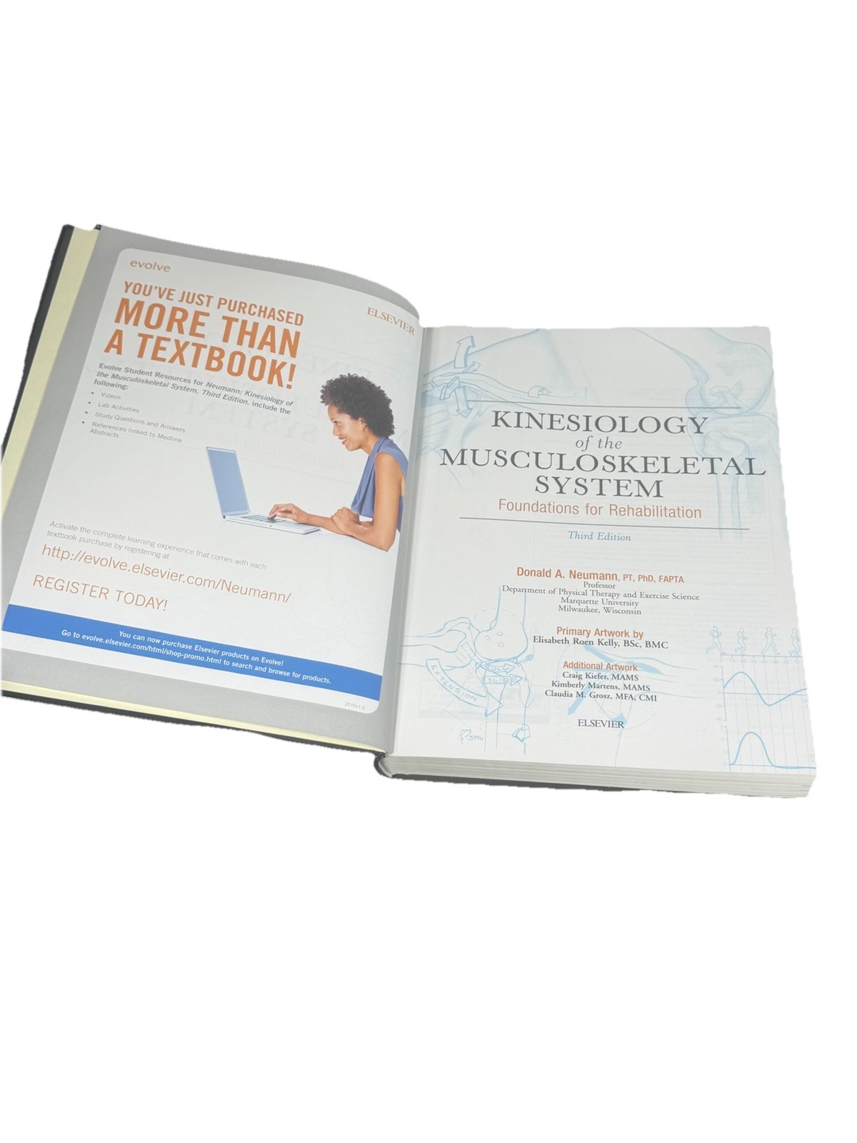 Kinesiology of the Musculoskeletal System : Foundations for Rehabilitation