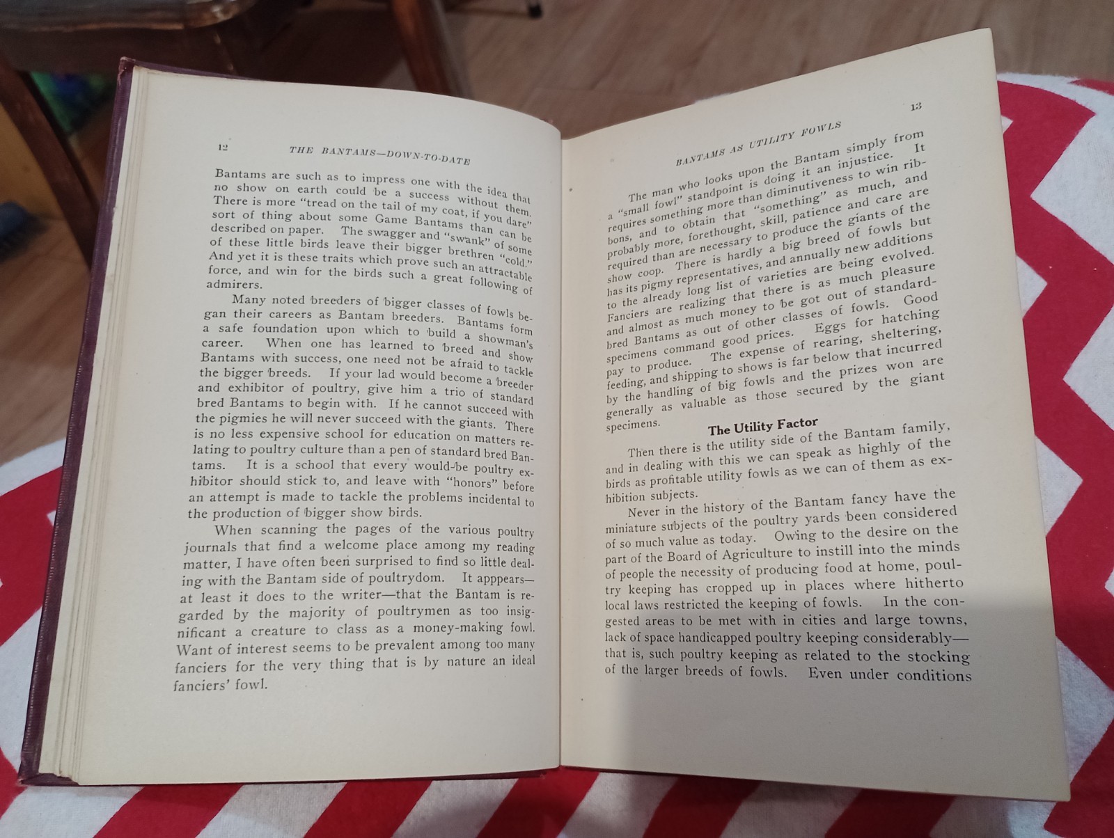 The BANTAMS Down to Date JOSEPH SHAKESPEARE : Antique 1925 Illustrated Hardcover