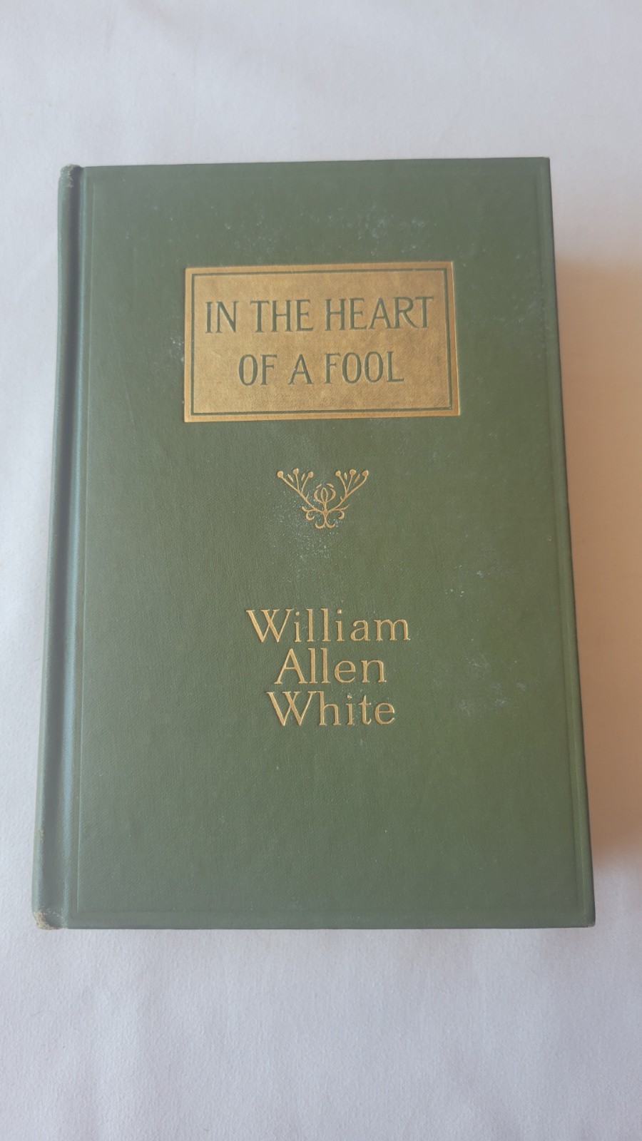In the Heart of a Fool by William Allen White 1918