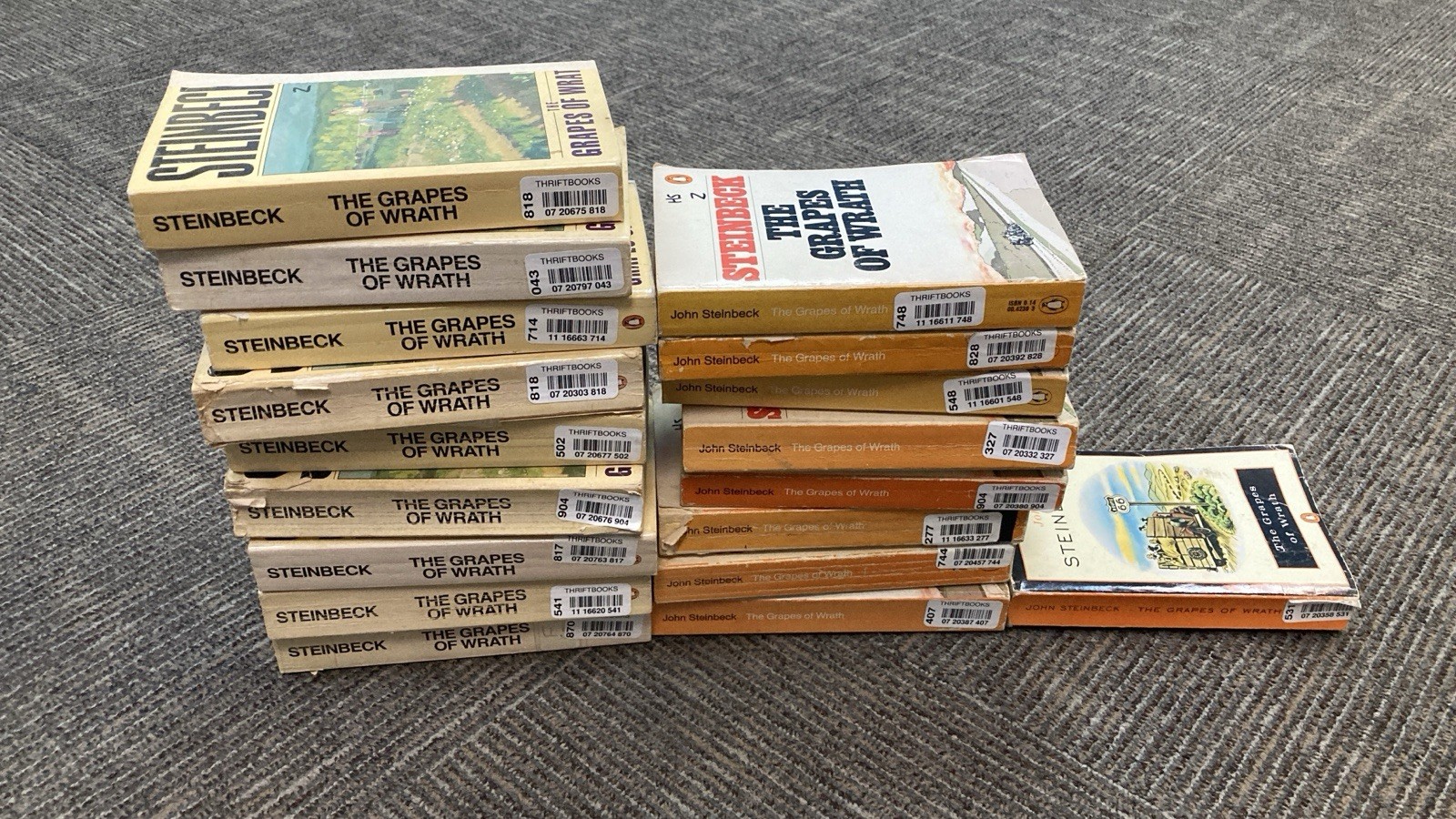 Grapes of Wrath by John Steinbeck Paperback Set (18 Books)