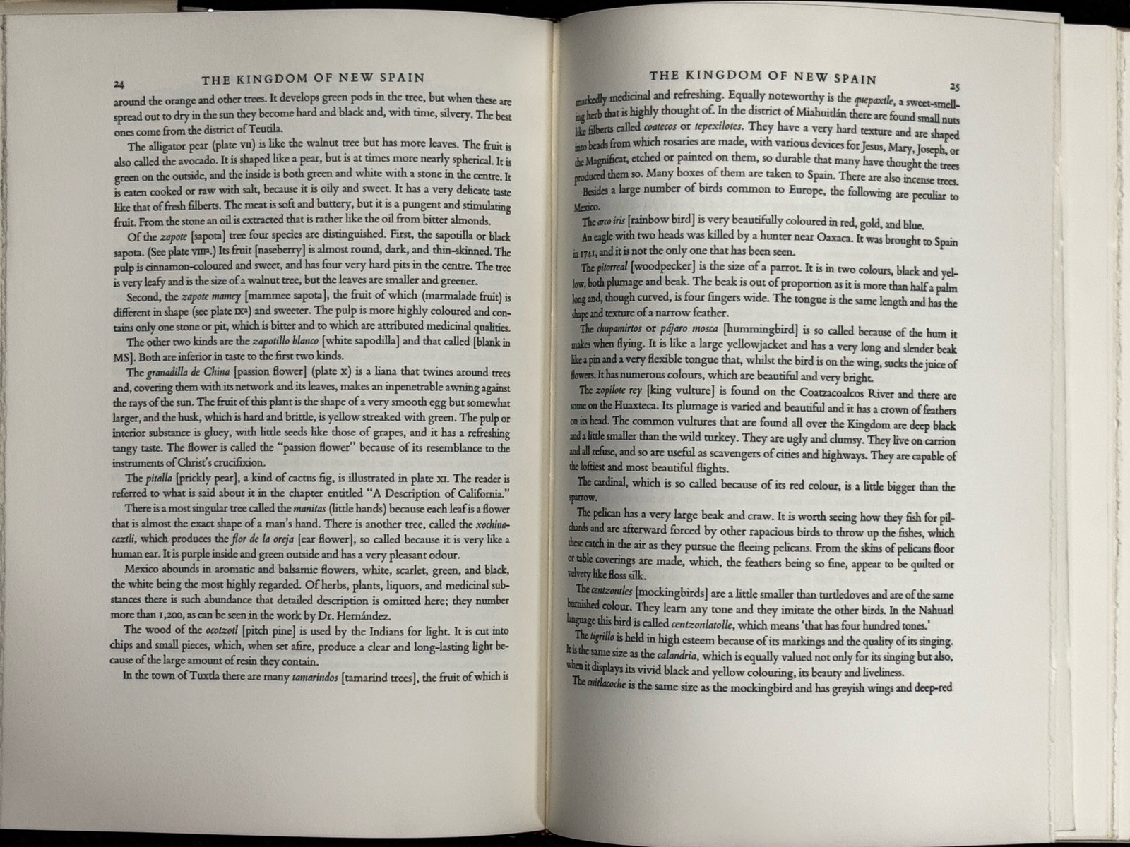 A DESCRIPTION OF THE KINGDOM OF NEW SPAIN Sean Galvin
