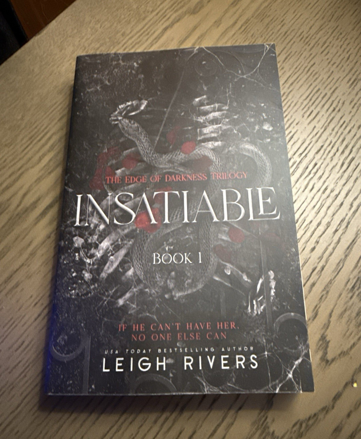 Leigh Rivers Insatiable (The Edge of Darkness Trilogy Book 1) Paperback